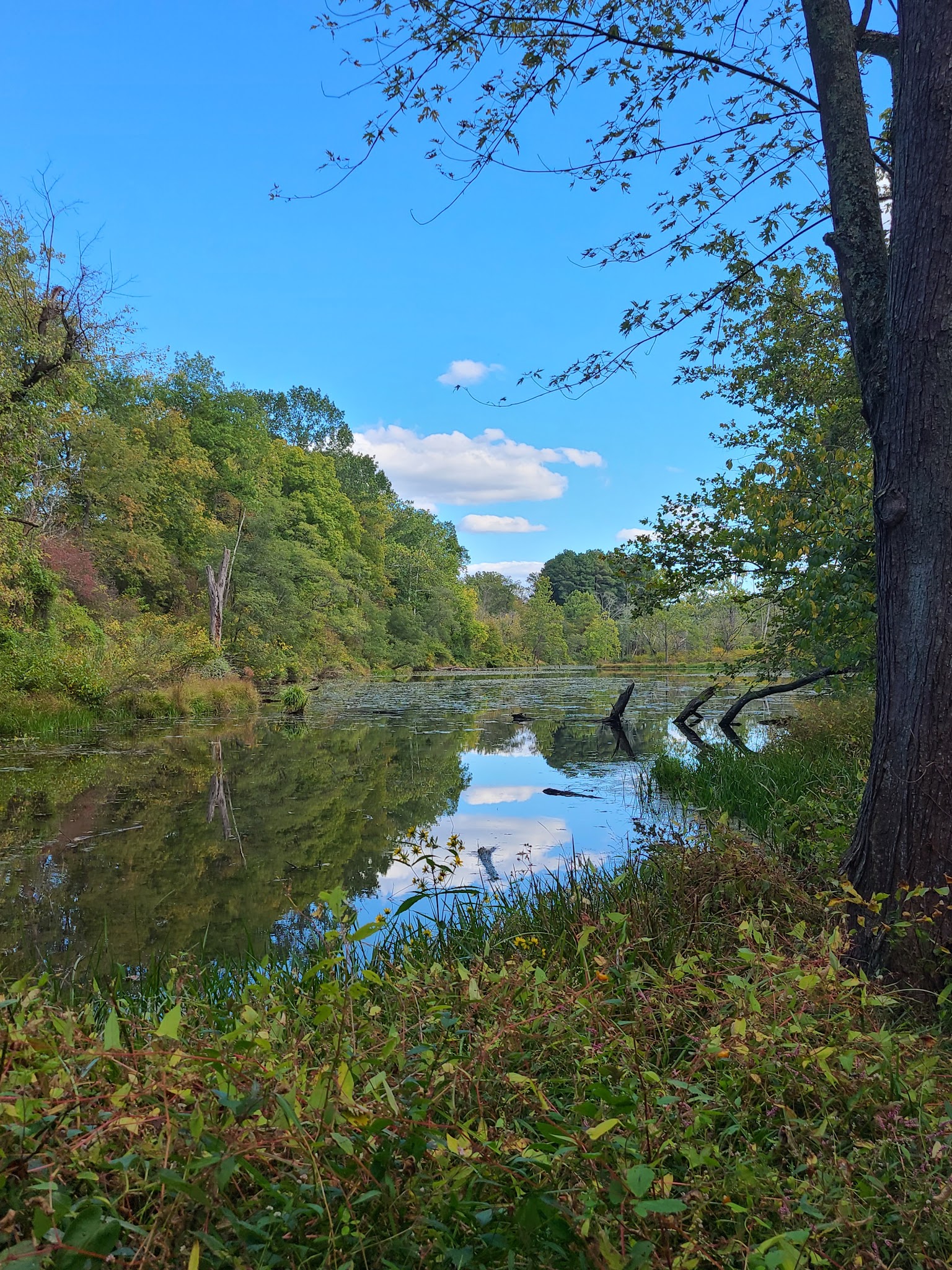 Fort Frederick State Park