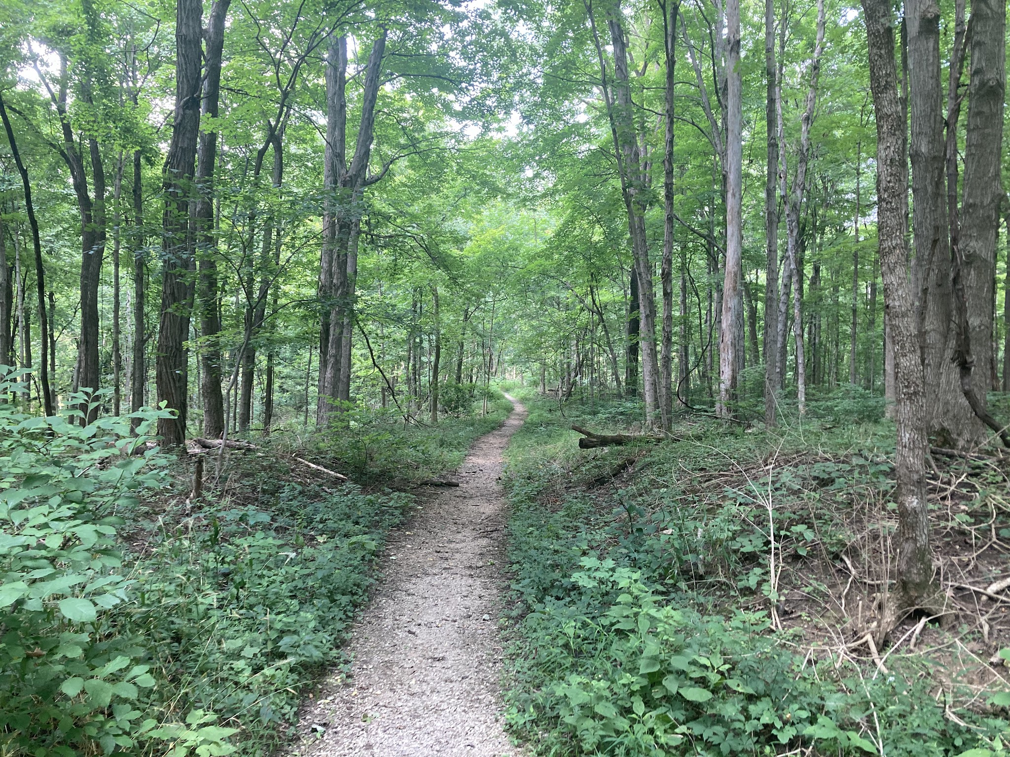 Fort Harrison State Park