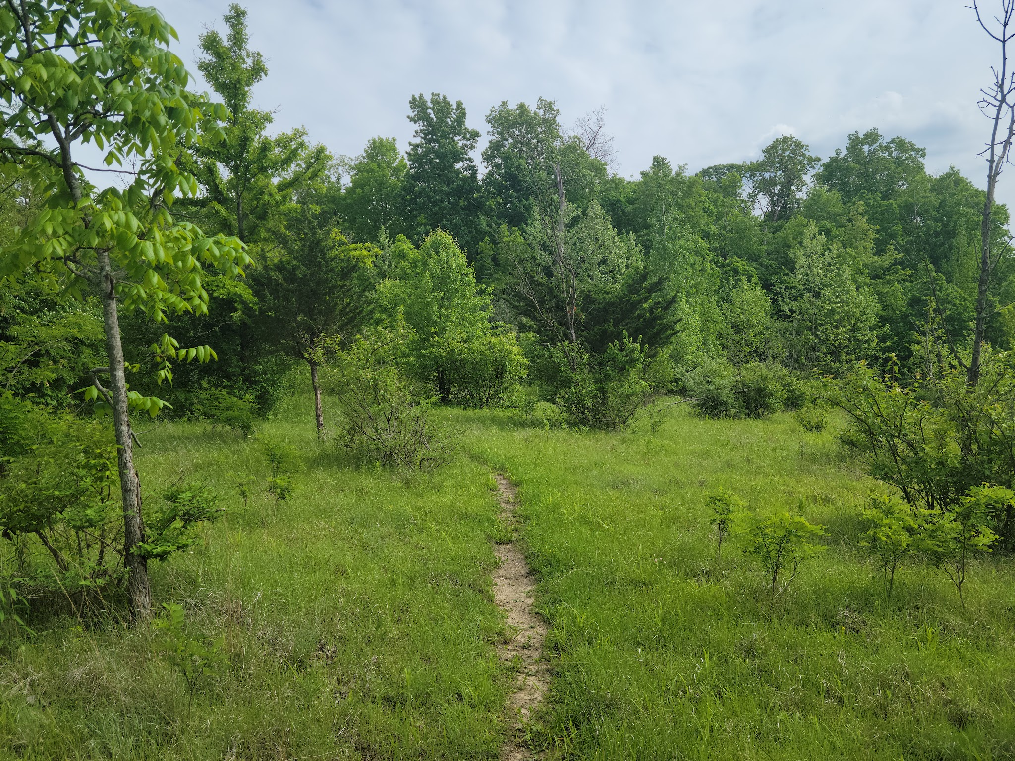 Fort Harrison State Park