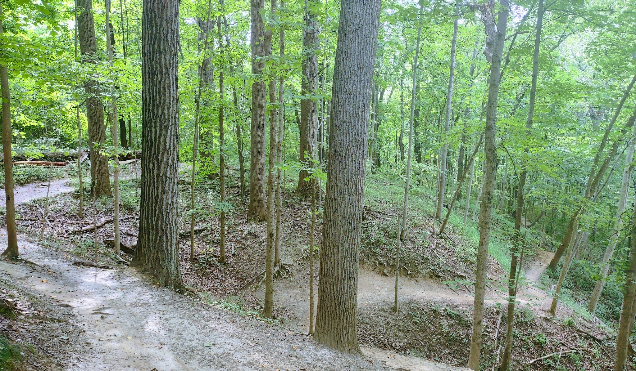 Fort Harrison State Park