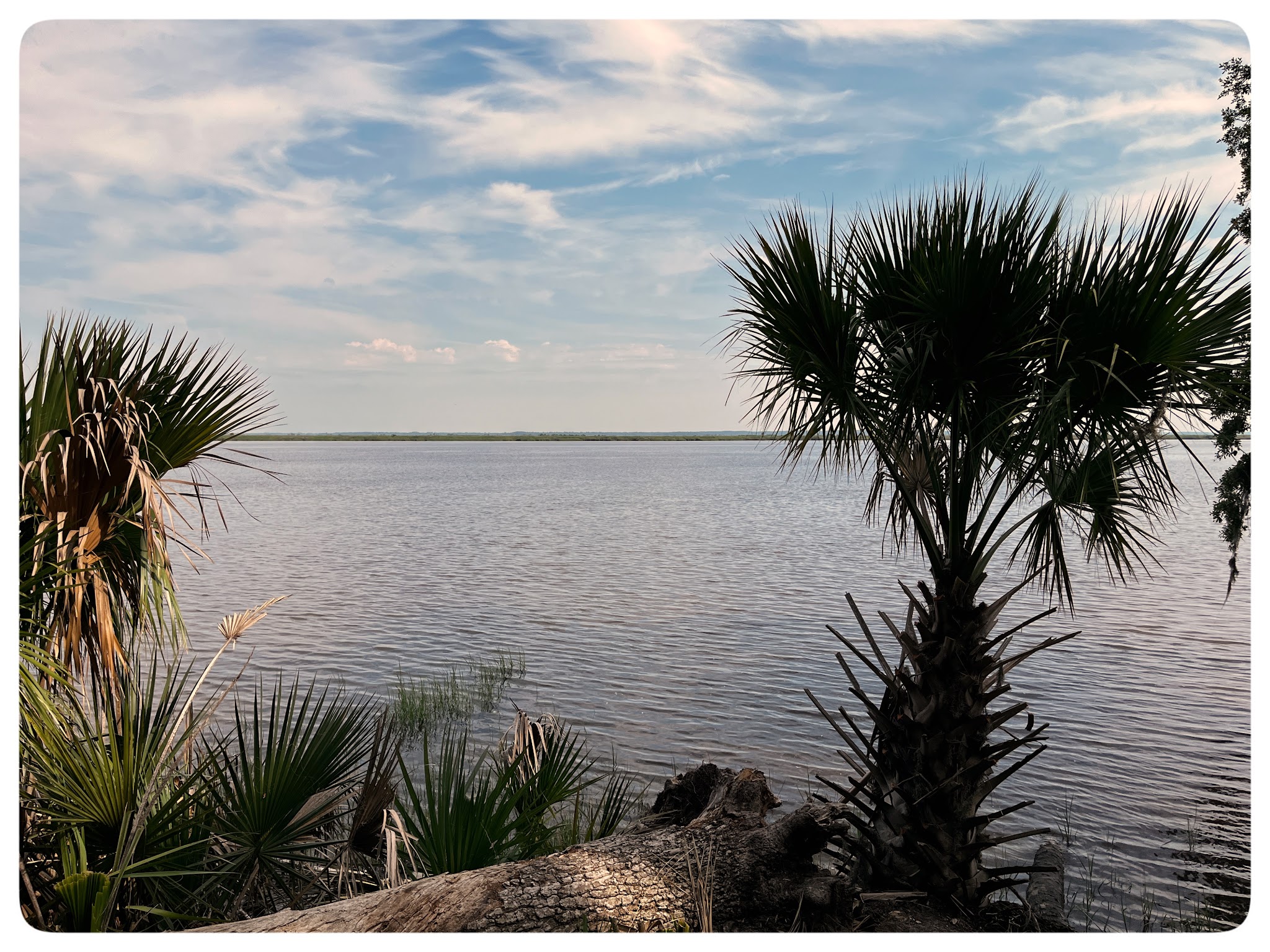 Fort Mcallister State Historic Site