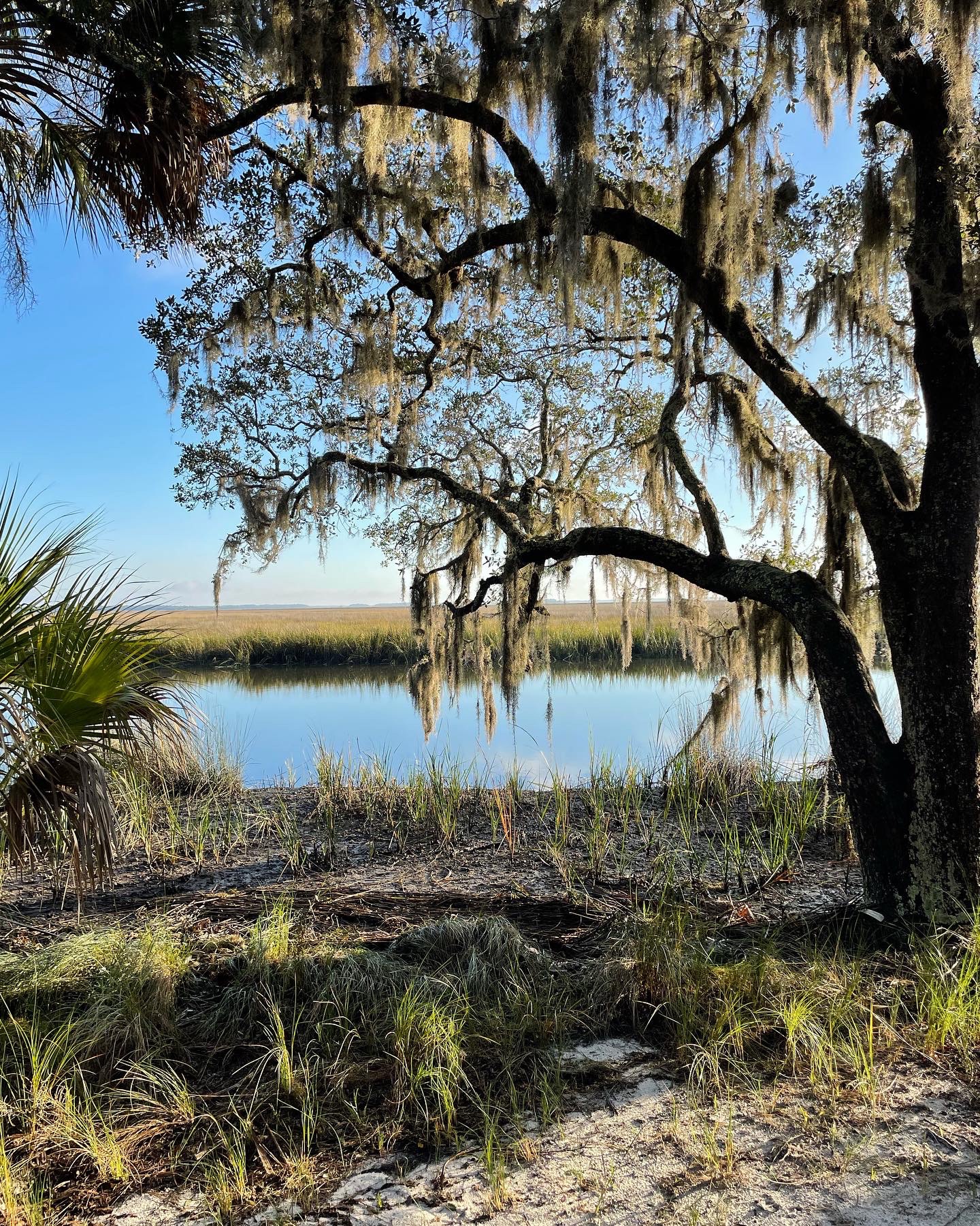 Fort Mcallister State Historic Site