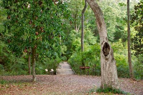 Fort Morris State Historic Site