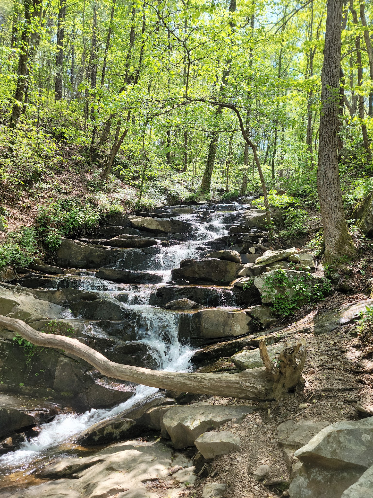 Fort Mountain State Park