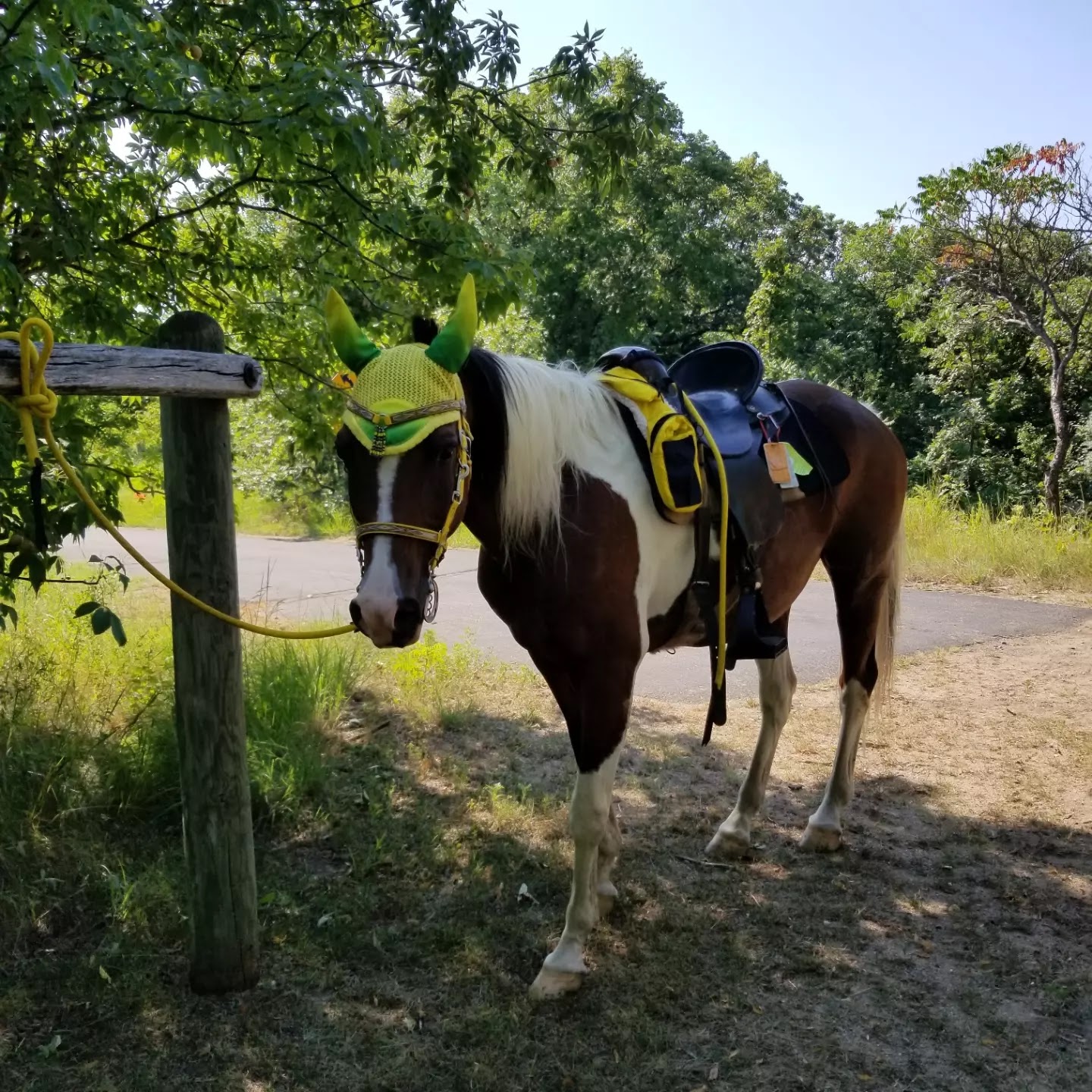 Equestrian Campground