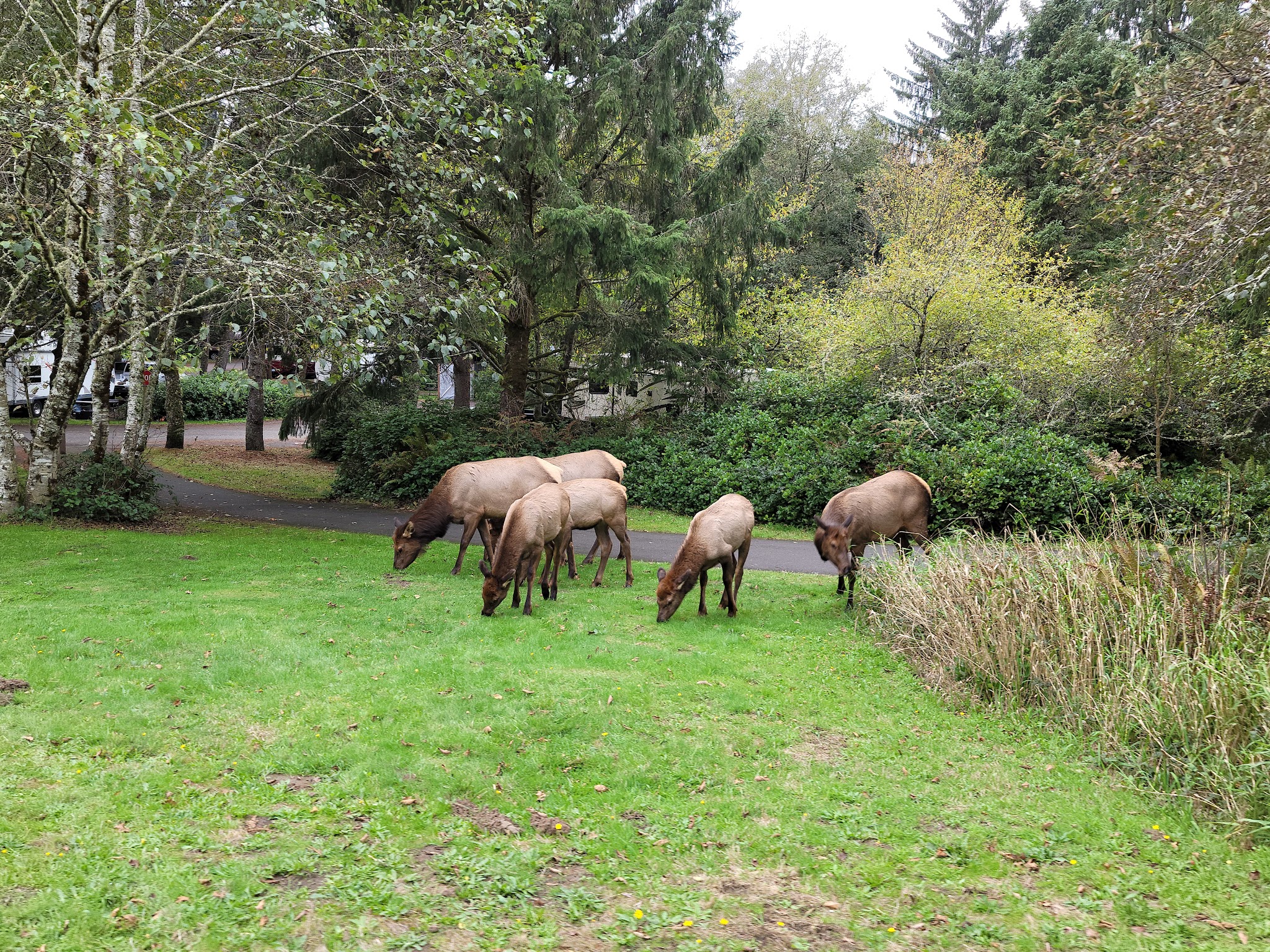 Fort Stevens State Park