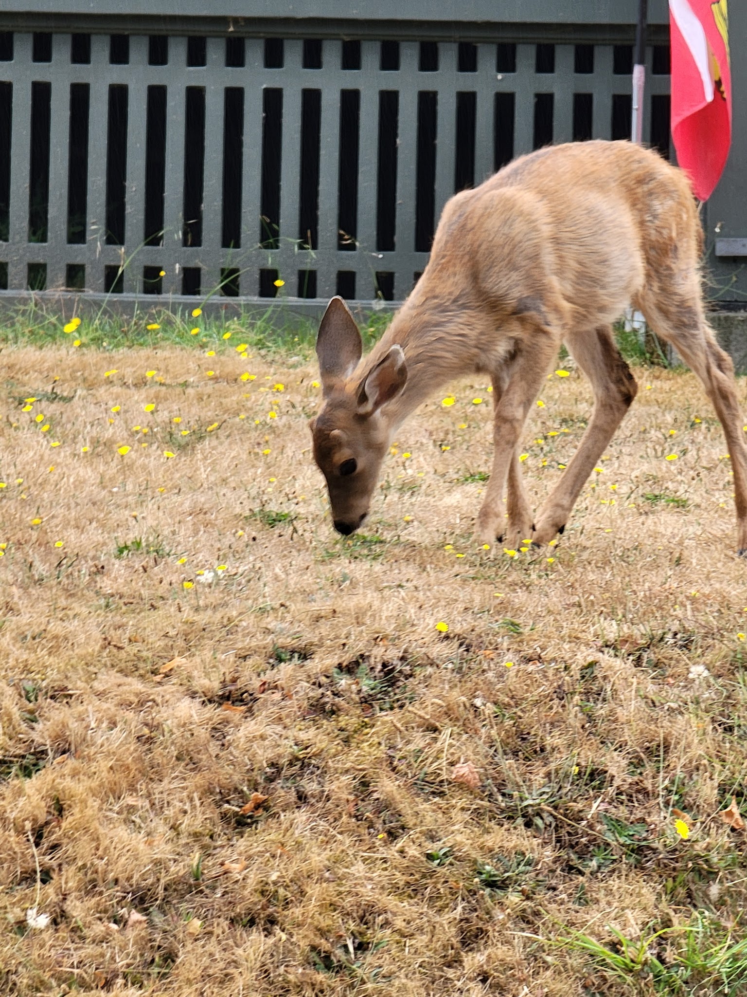 Fort Worden State Park