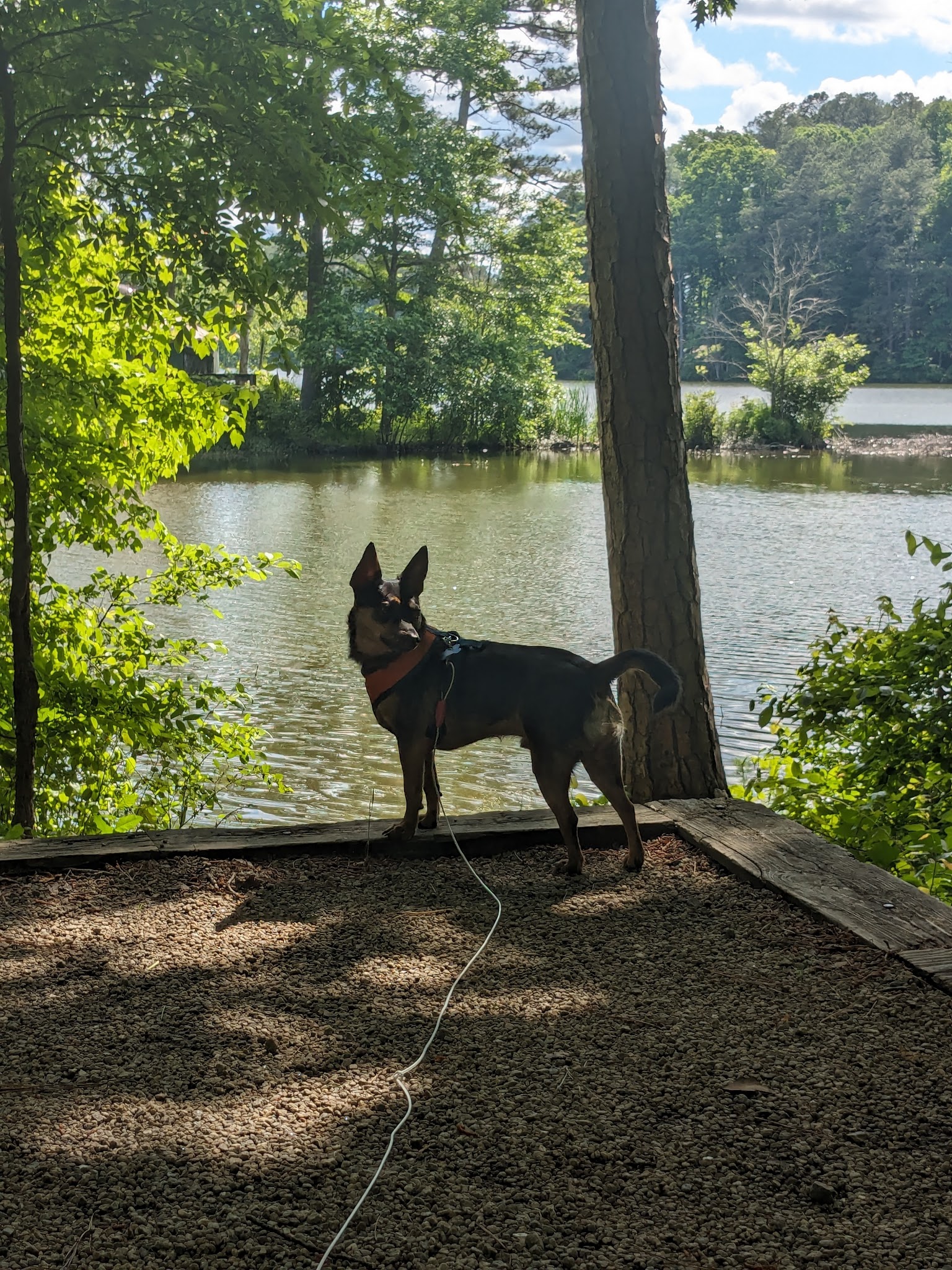 Fort Yargo State Park