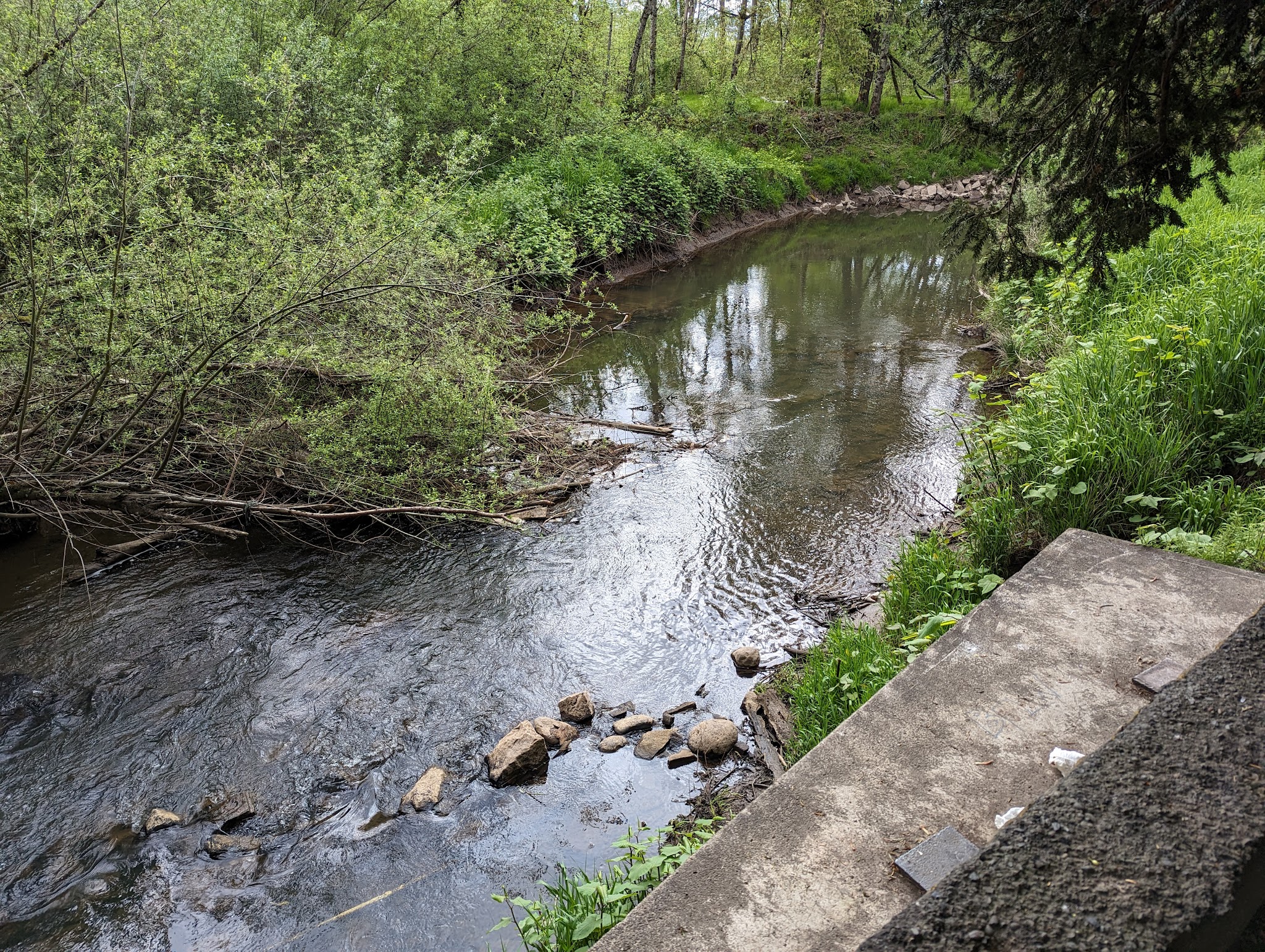 Grabel Floodplain Natural Crup Campground