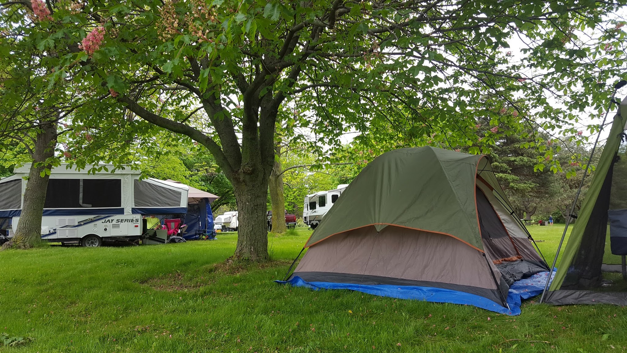 Four Mile Creek State Park