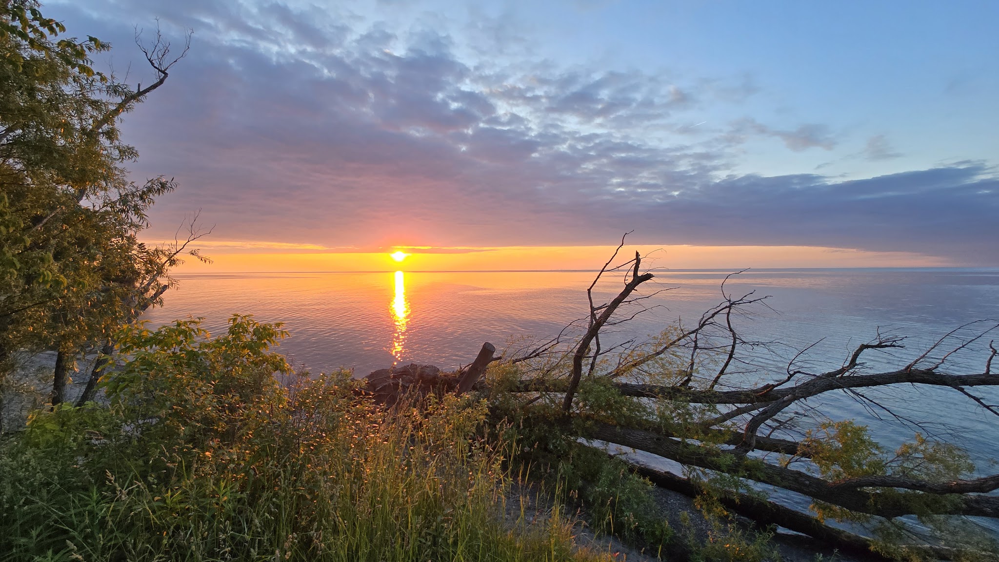 Four Mile Creek State Park