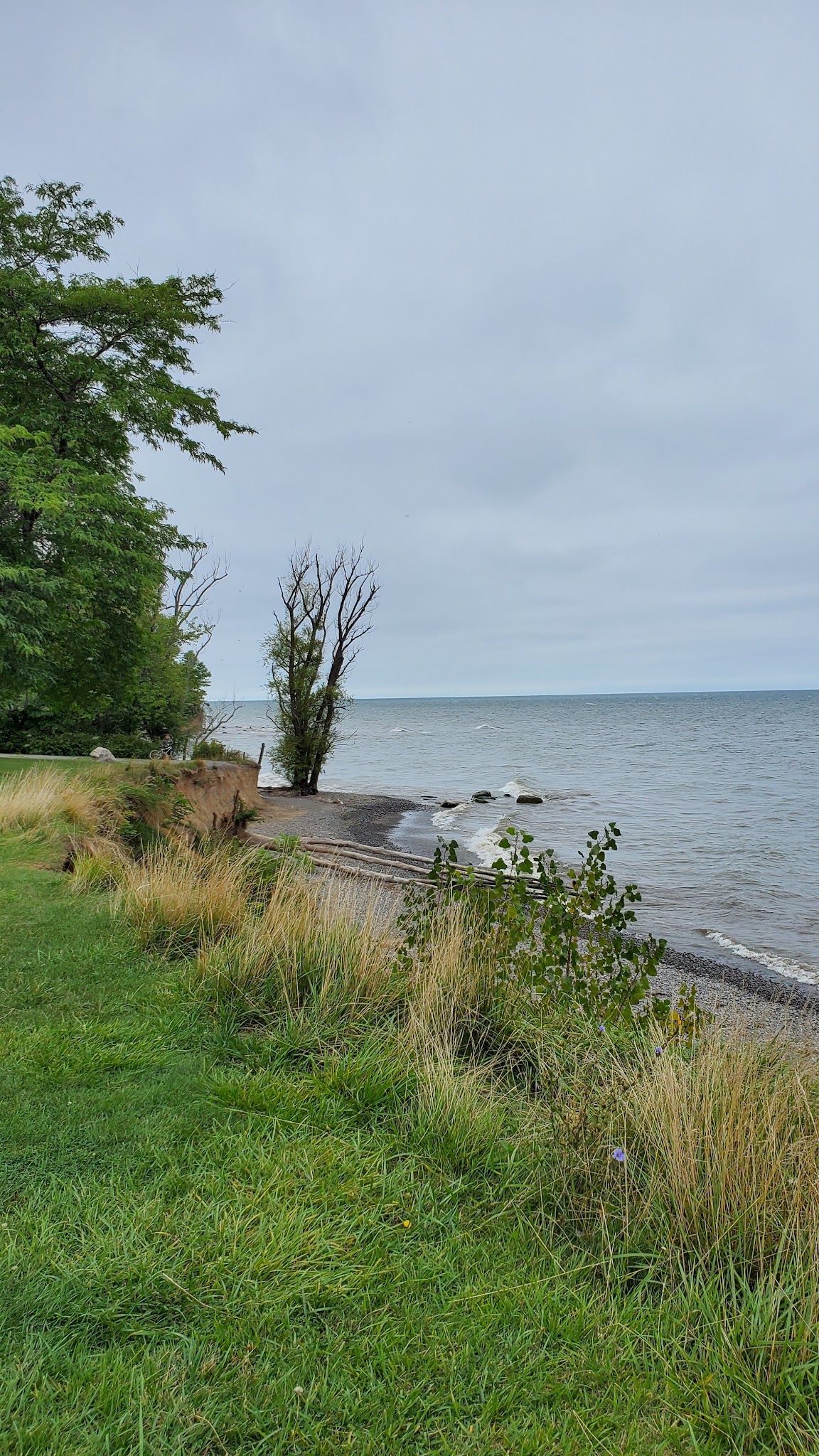 Four Mile Creek State Park
