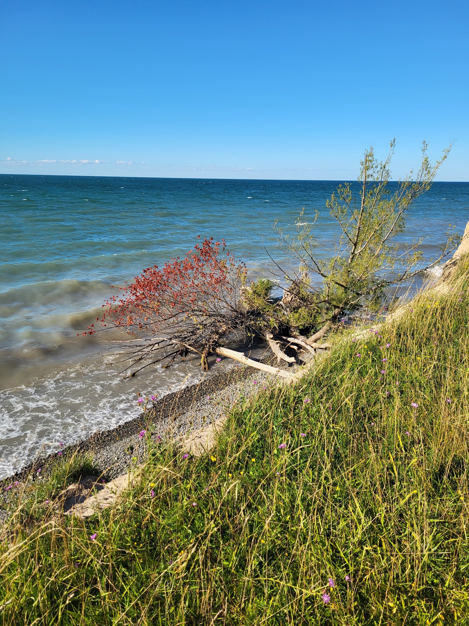 Four Mile Creek State Park