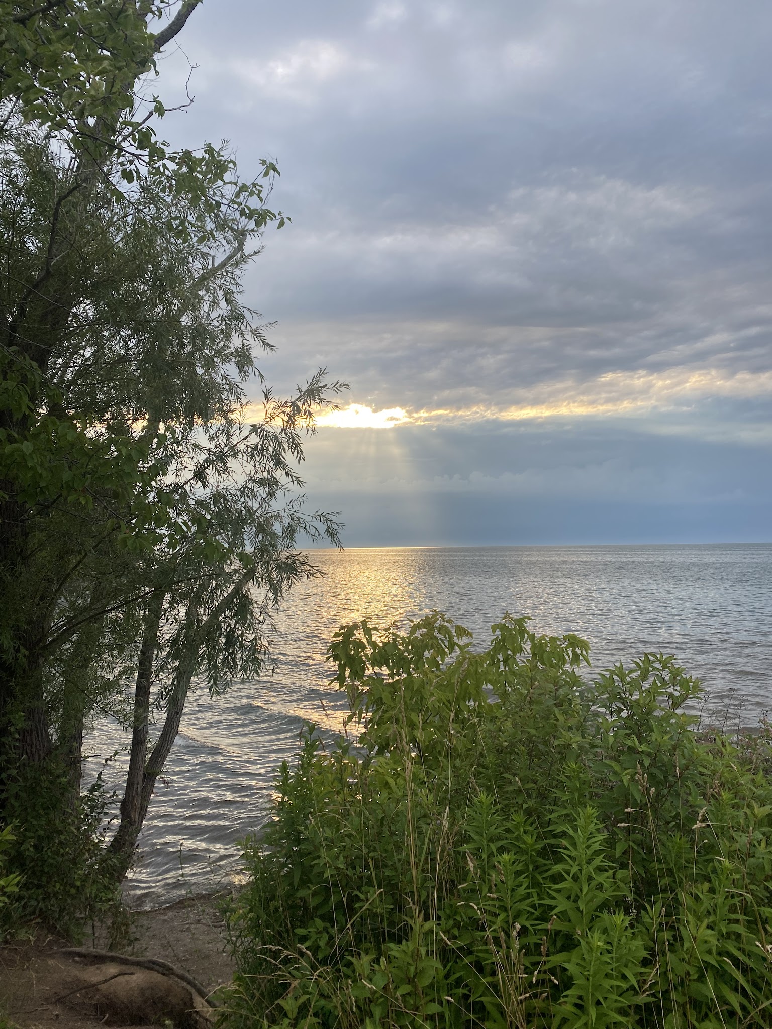 Four Mile Creek State Park