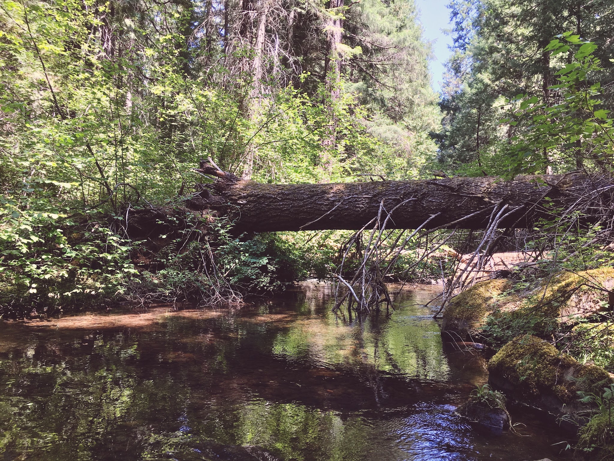 Fourbit Ford Campground