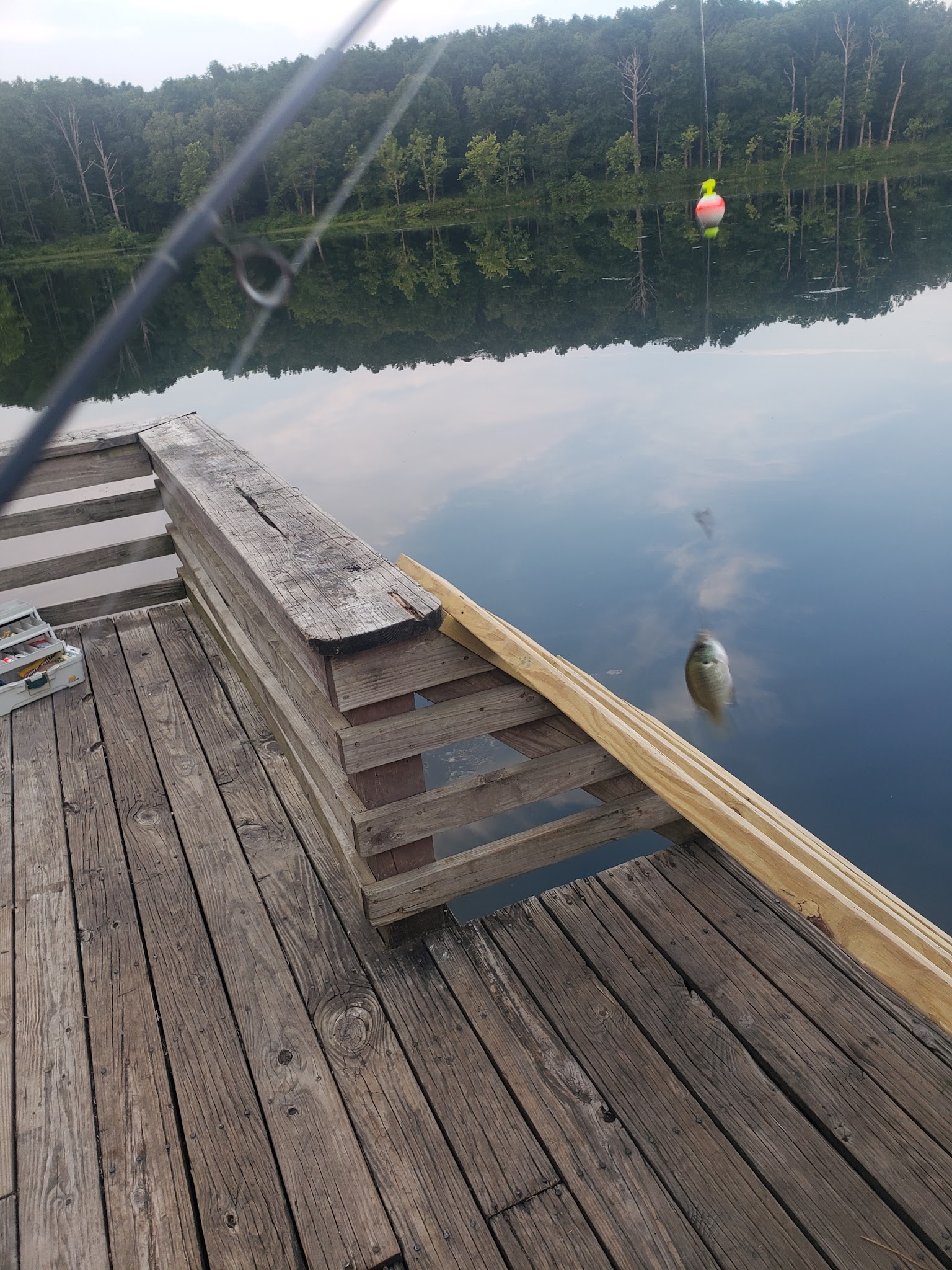 Fourche Lake Recreation Area