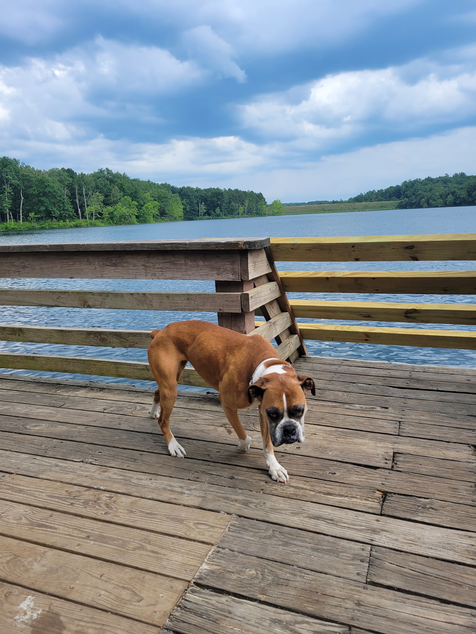 Fourche Lake Recreation Area
