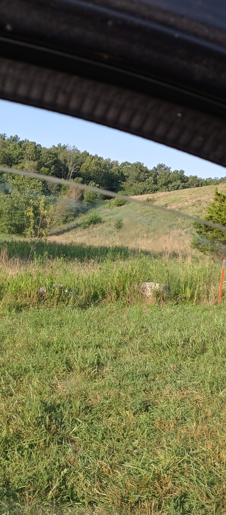 Fourche Lake Recreation Area