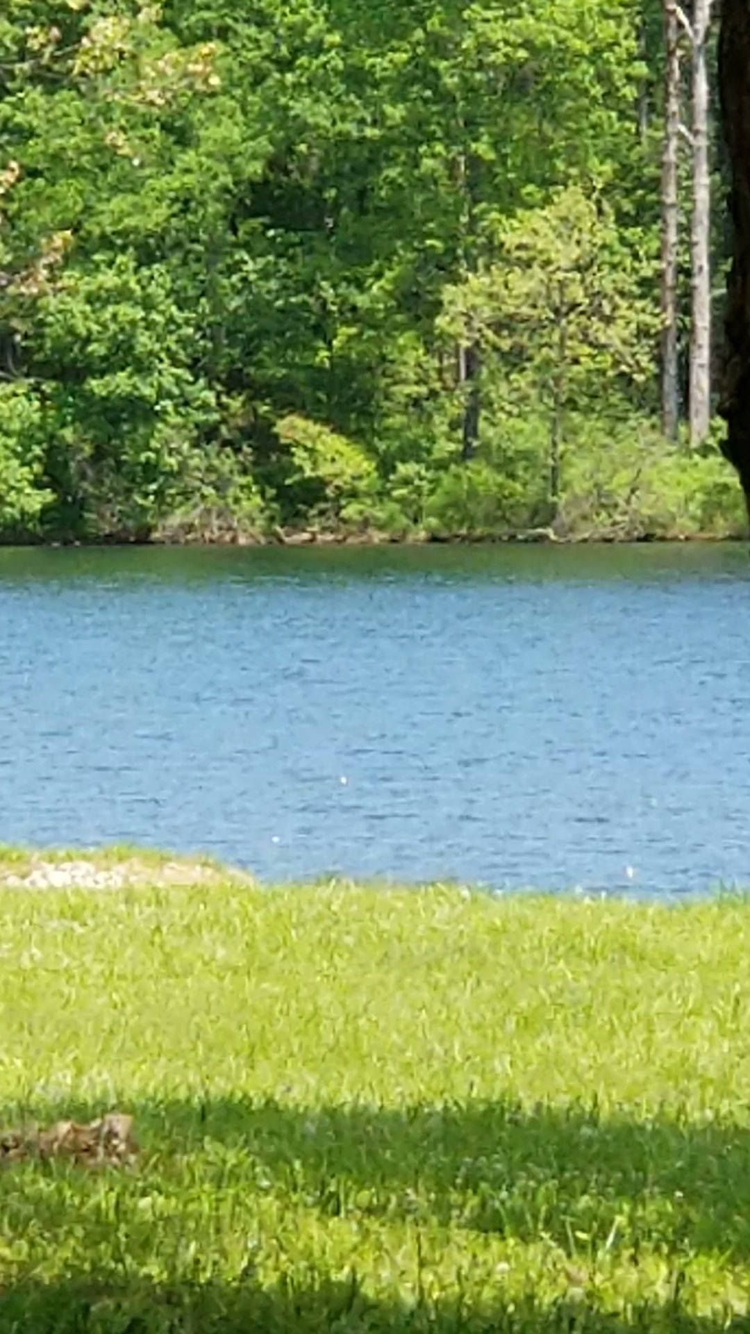 Fourche Lake Recreation Area