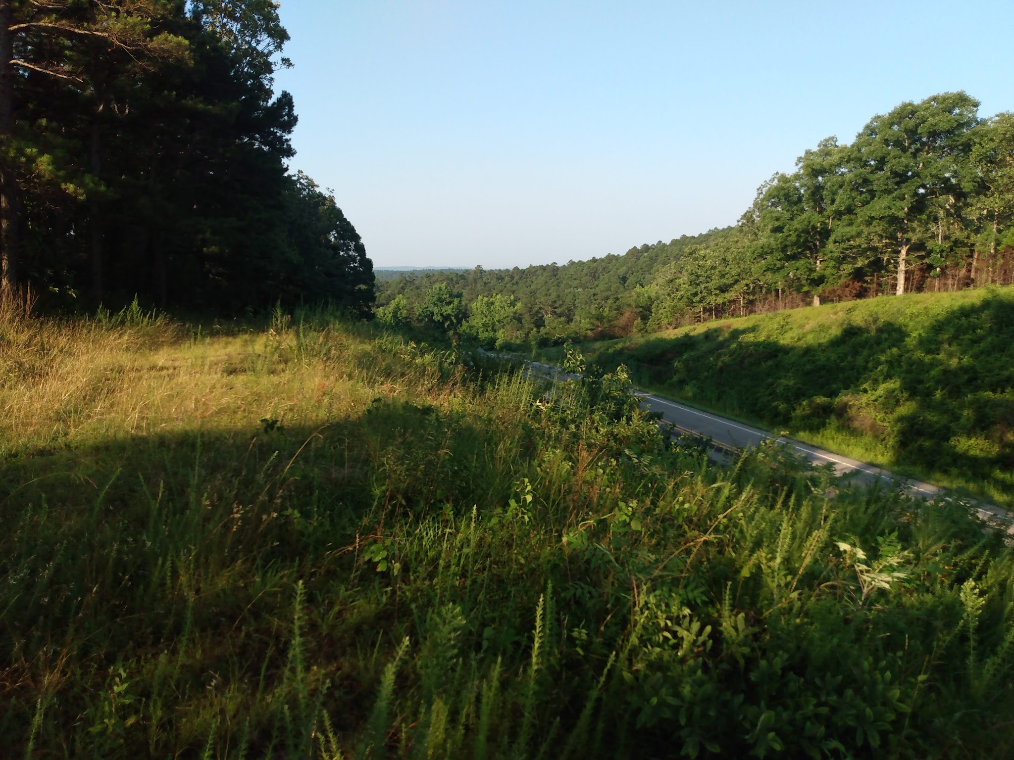 Fourche Mountain Recreation Area