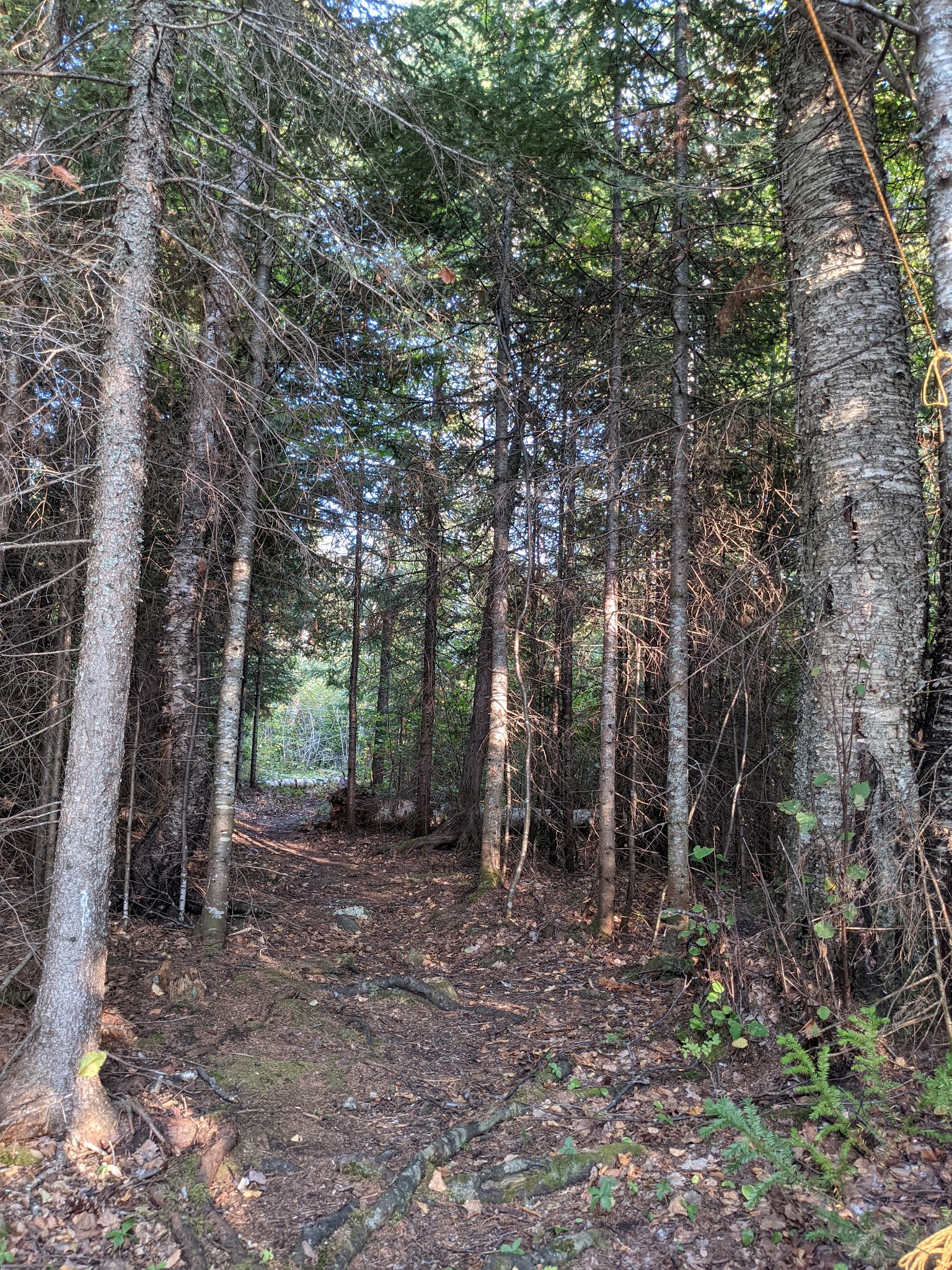 Fourmile Lk Rustic Campground & Backcountry Sites