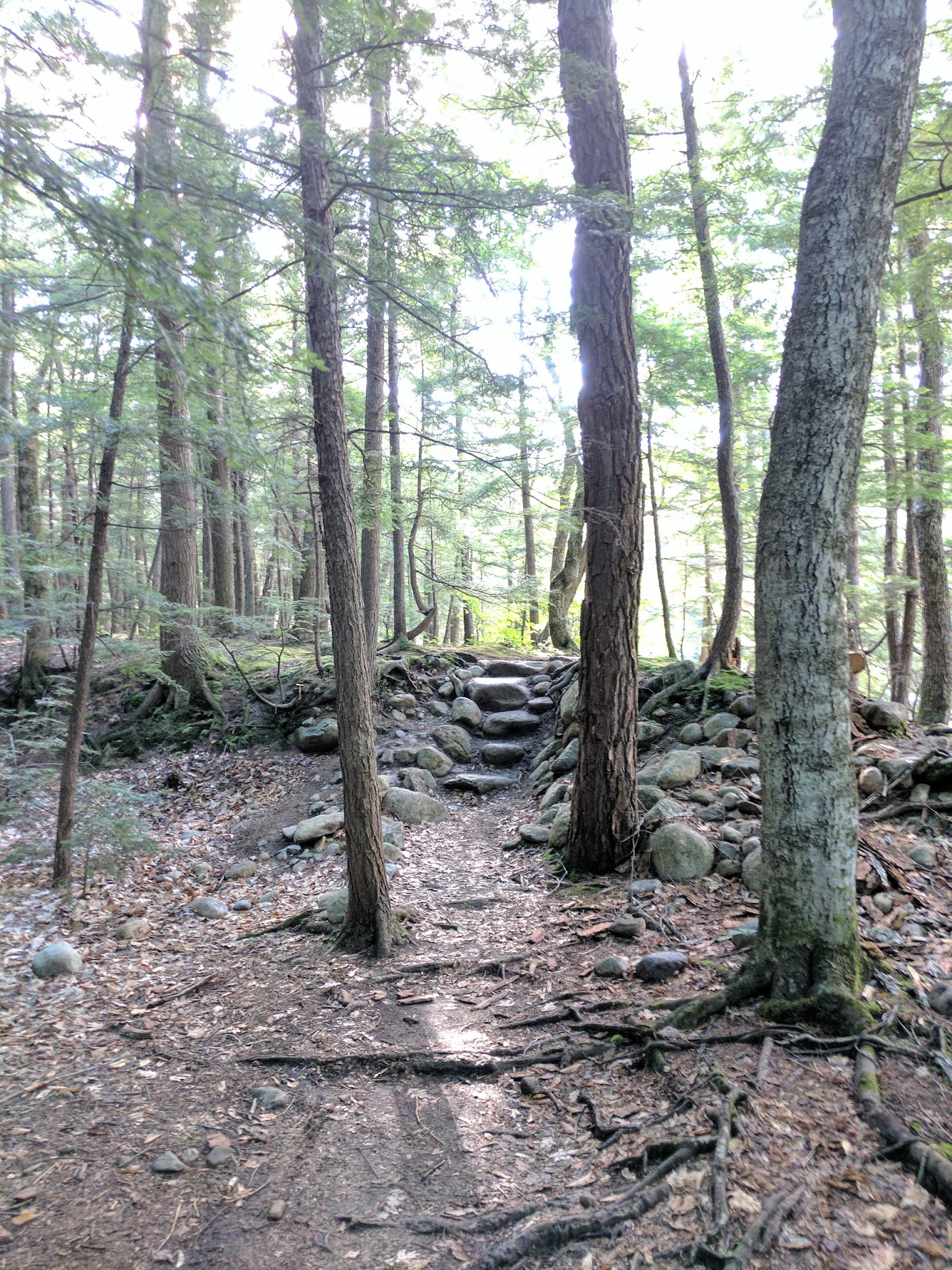 Fourth Iron Campground