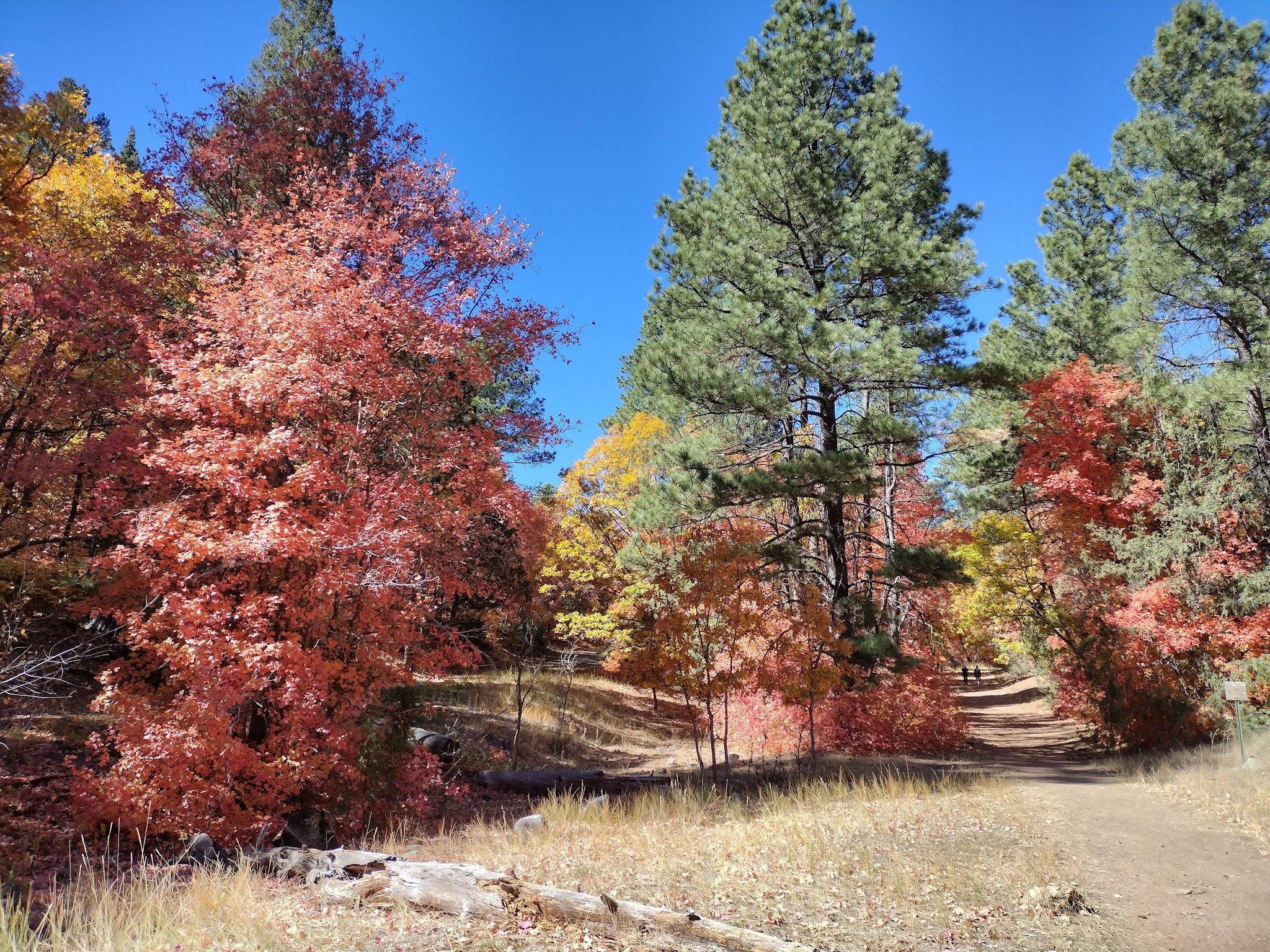 Fourth Of July Campground