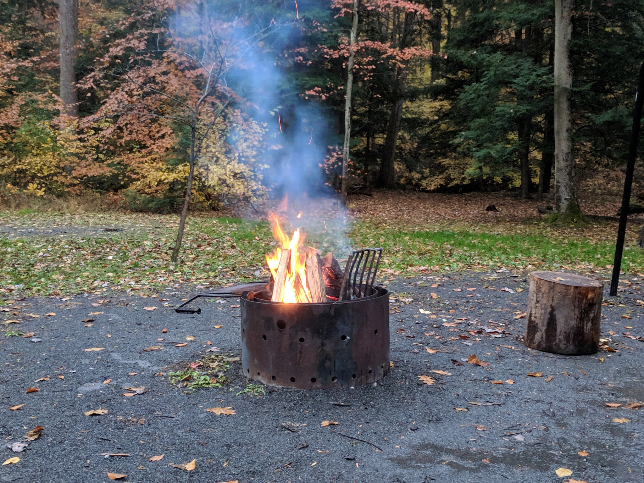 Fowlers Hollow State Park