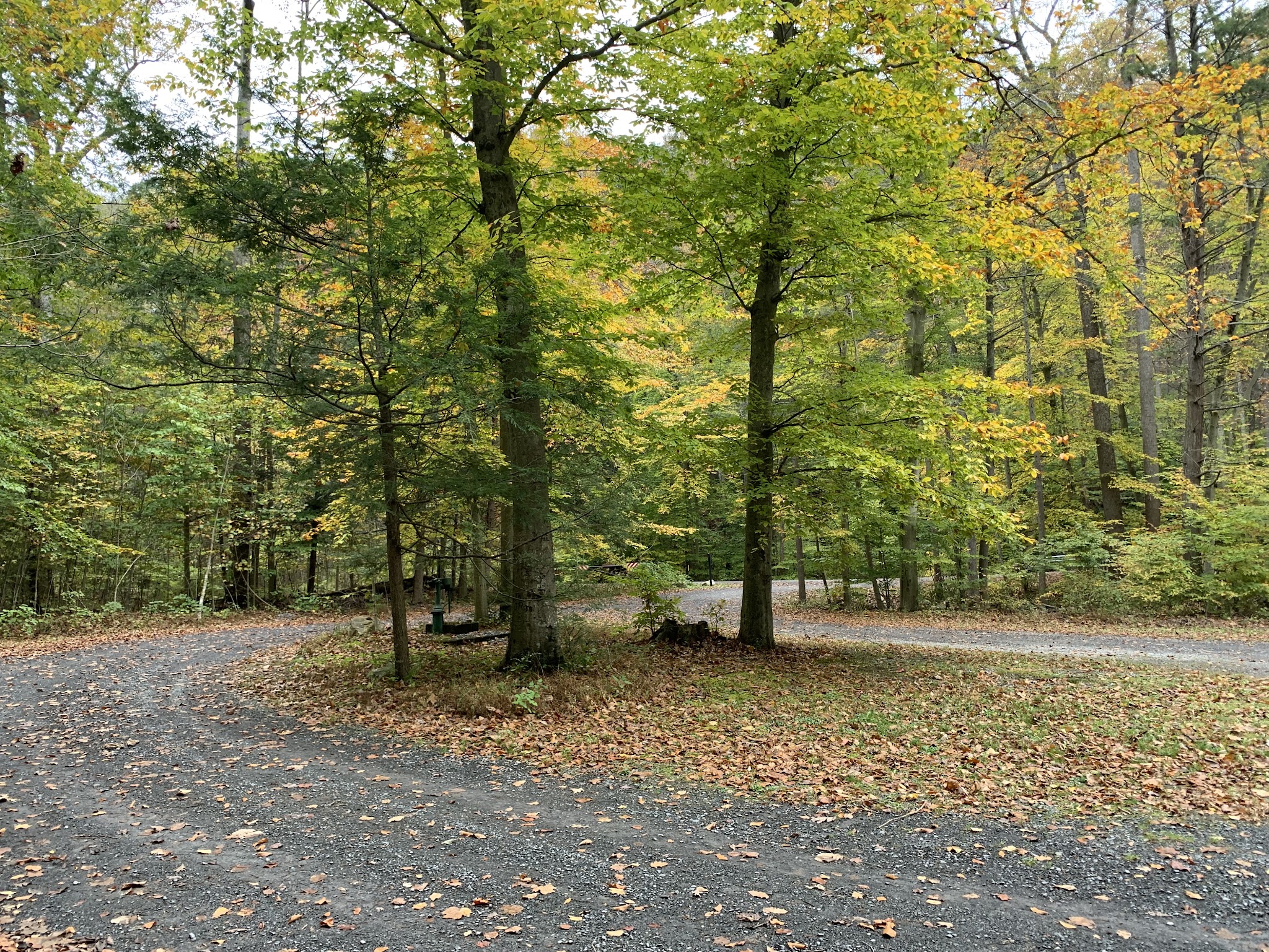Fowlers Hollow State Park