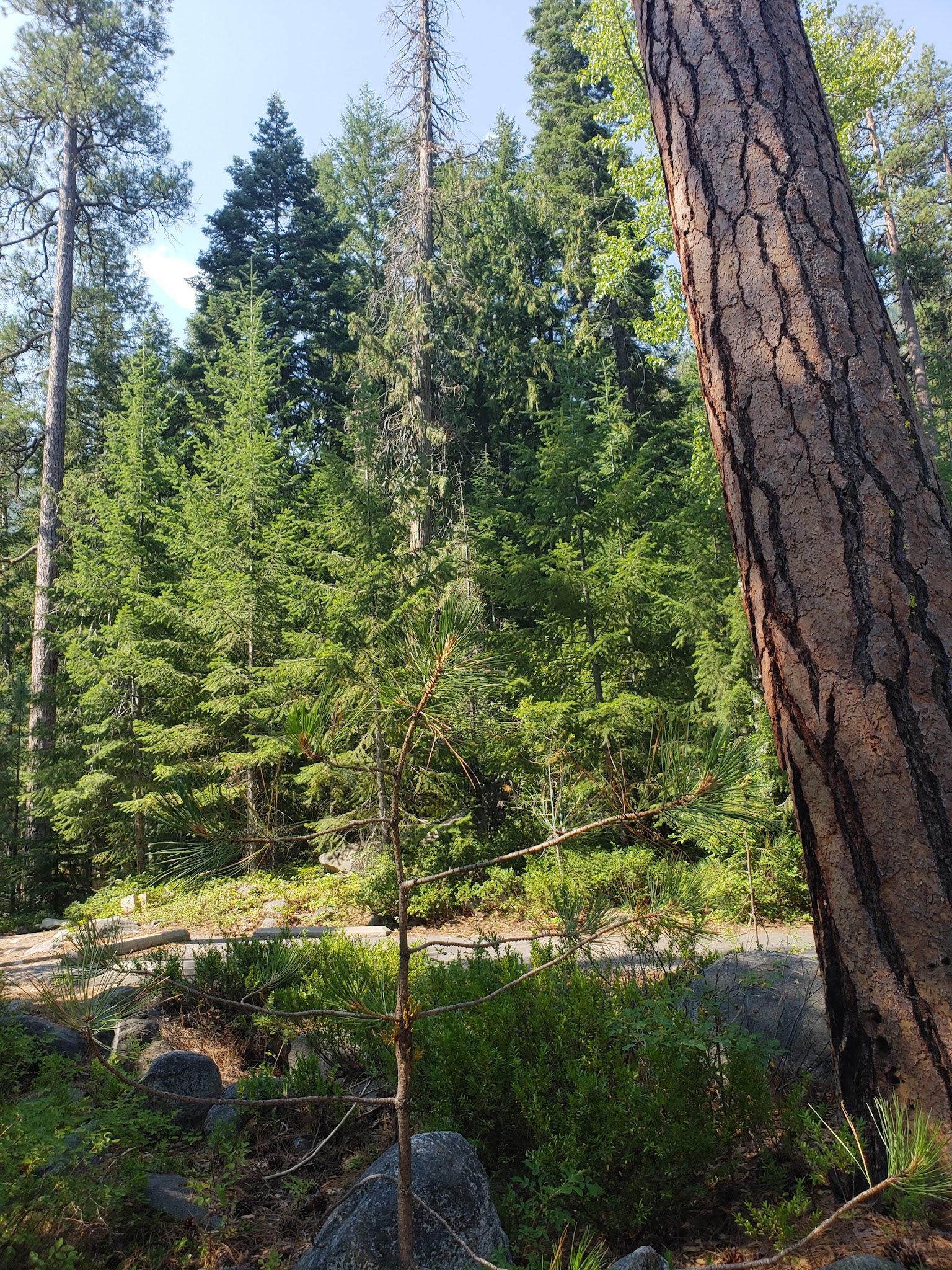 Fox Creek Campground