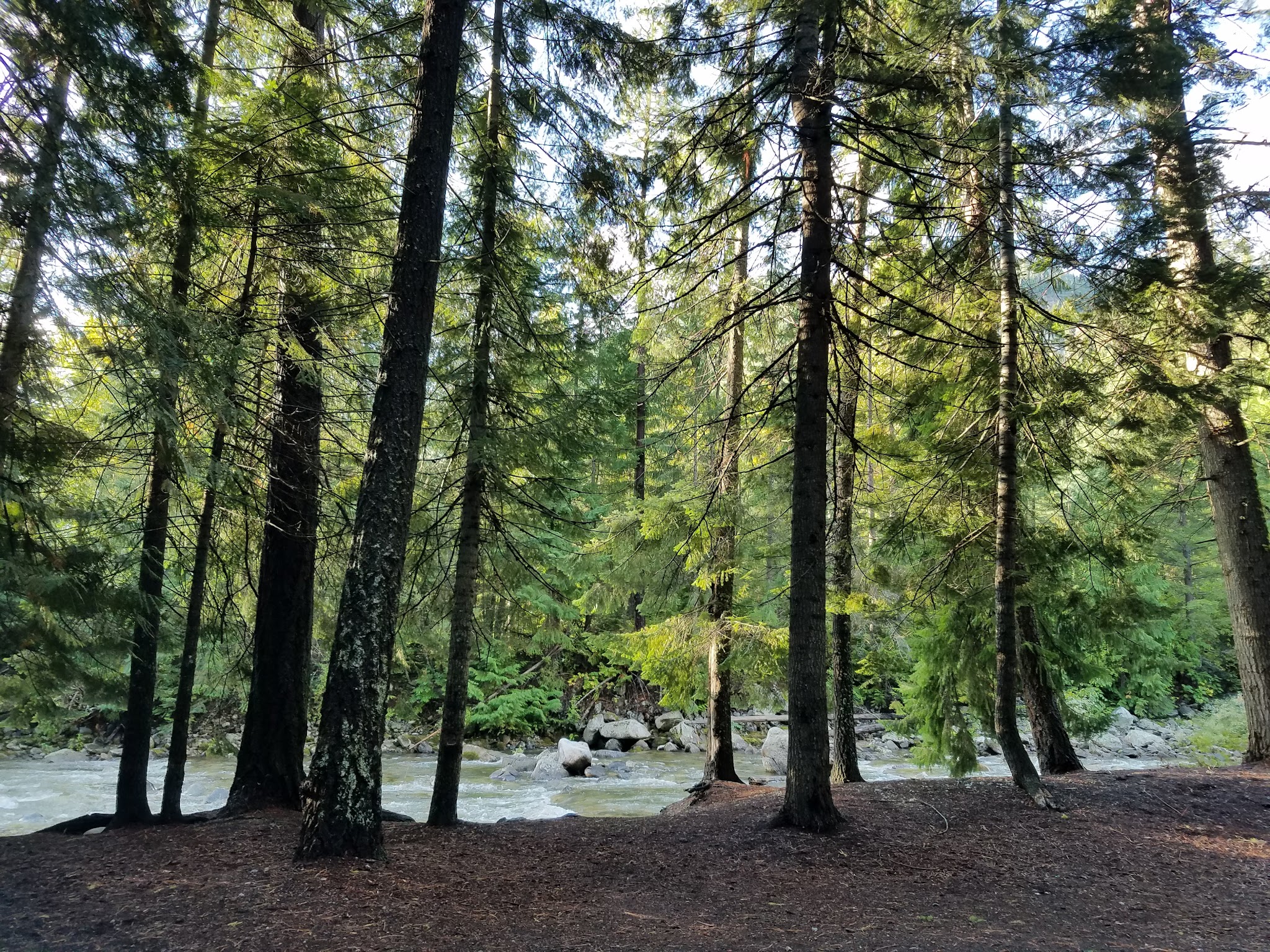 Fox Creek Campground
