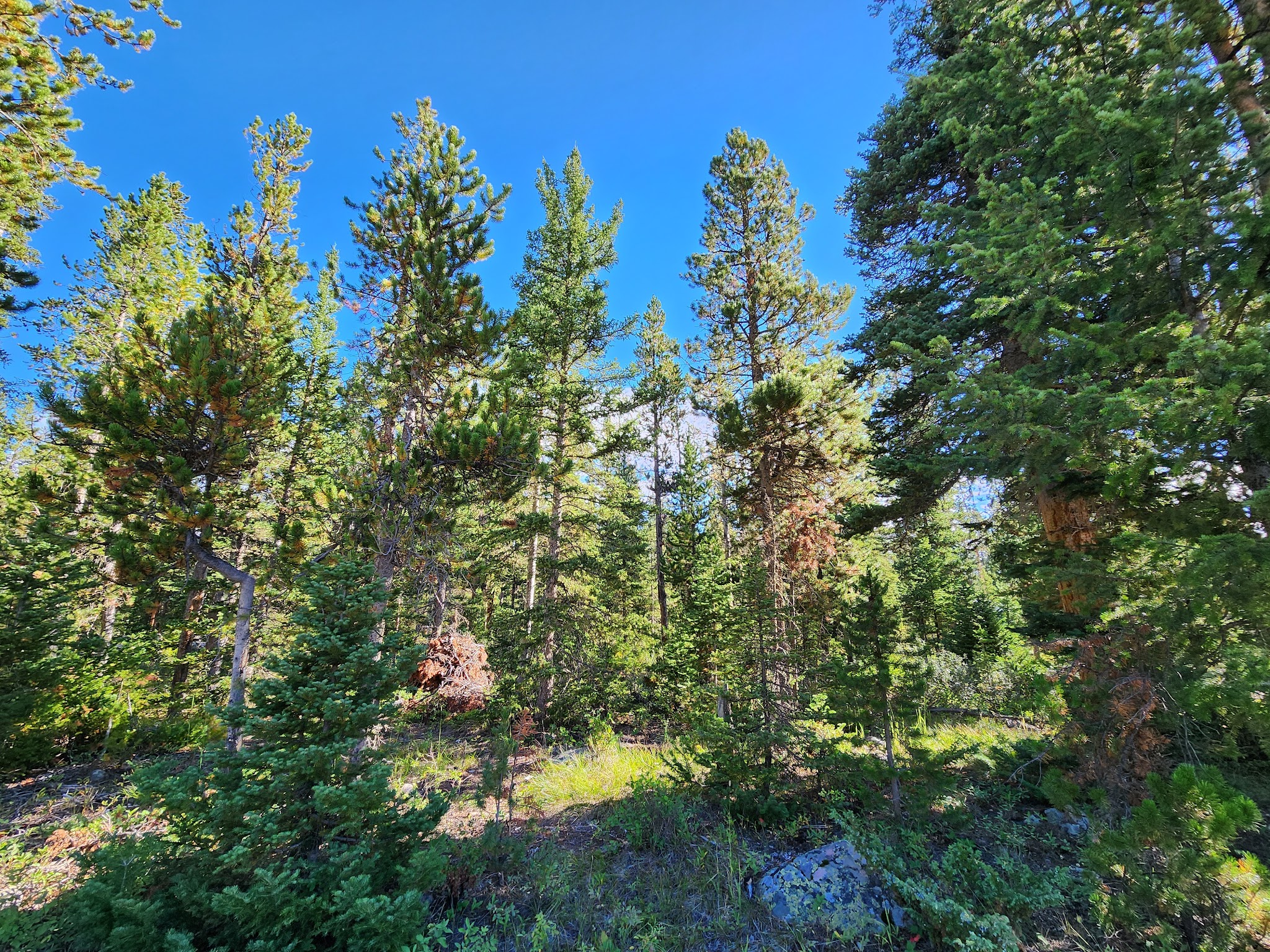 Fox Creek Campground