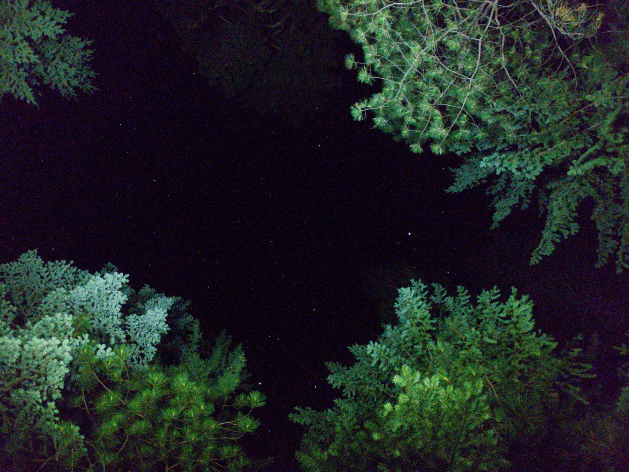 Fox Creek Campground