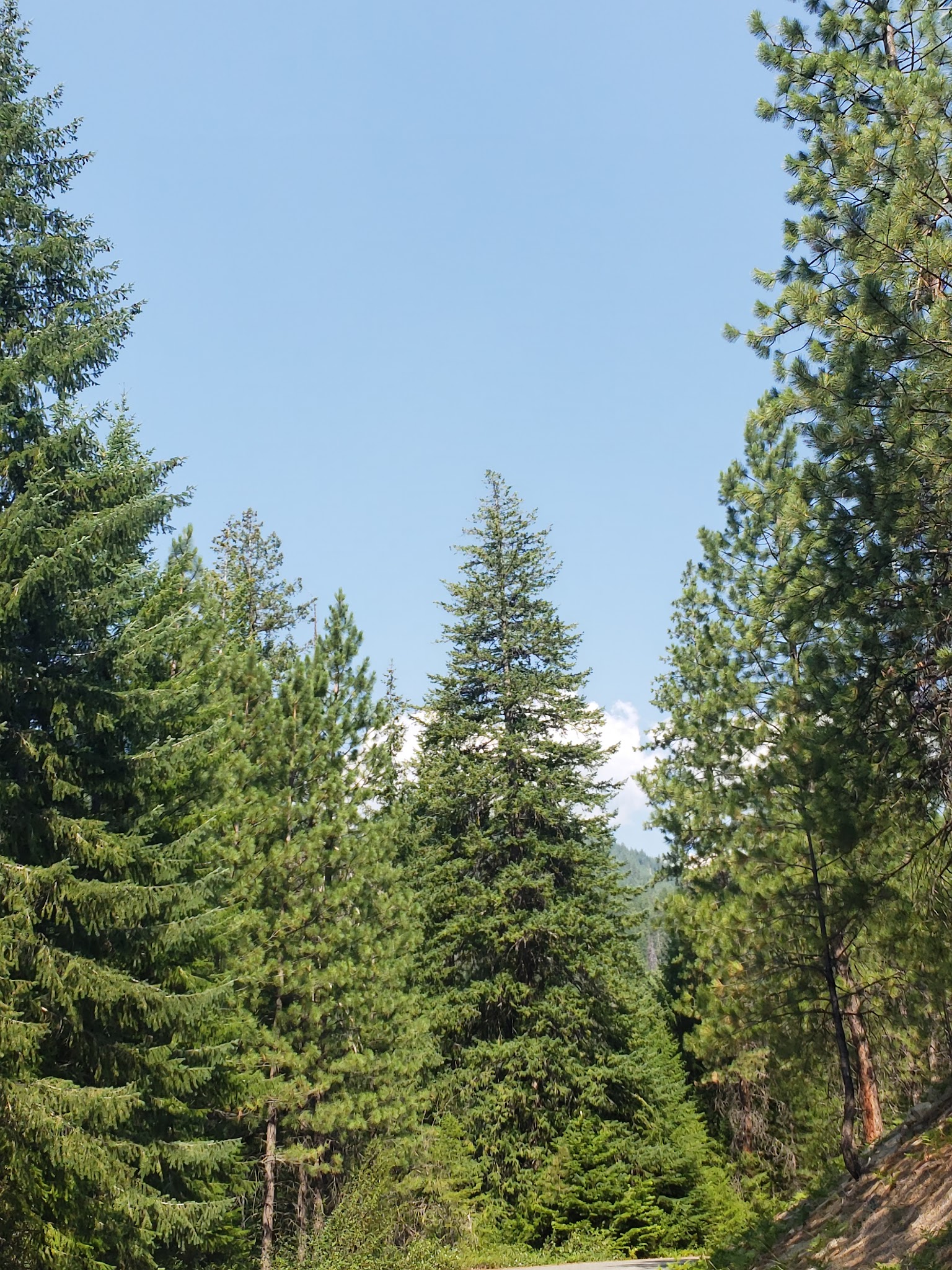 Fox Creek Campground