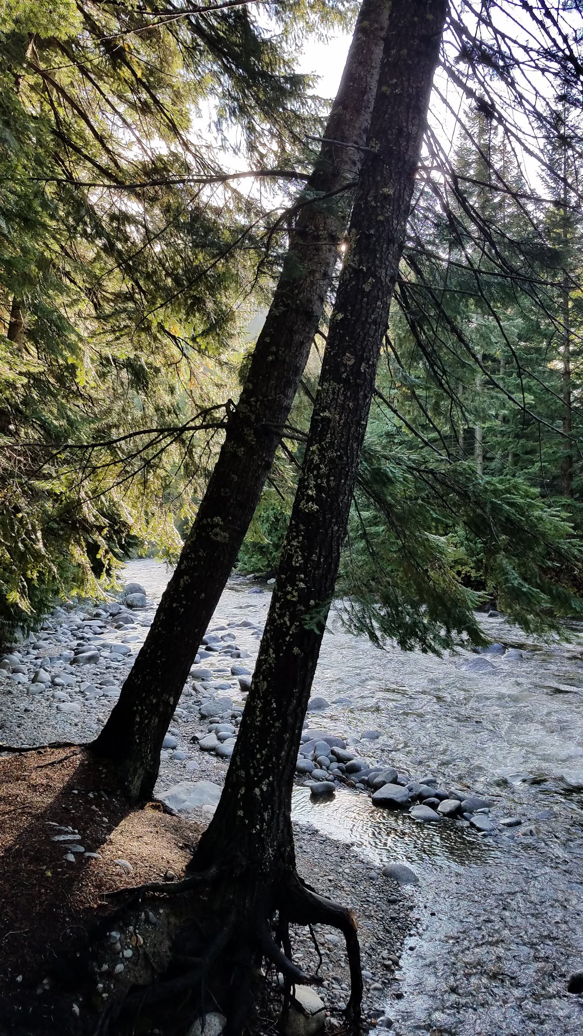 Fox Creek Campground