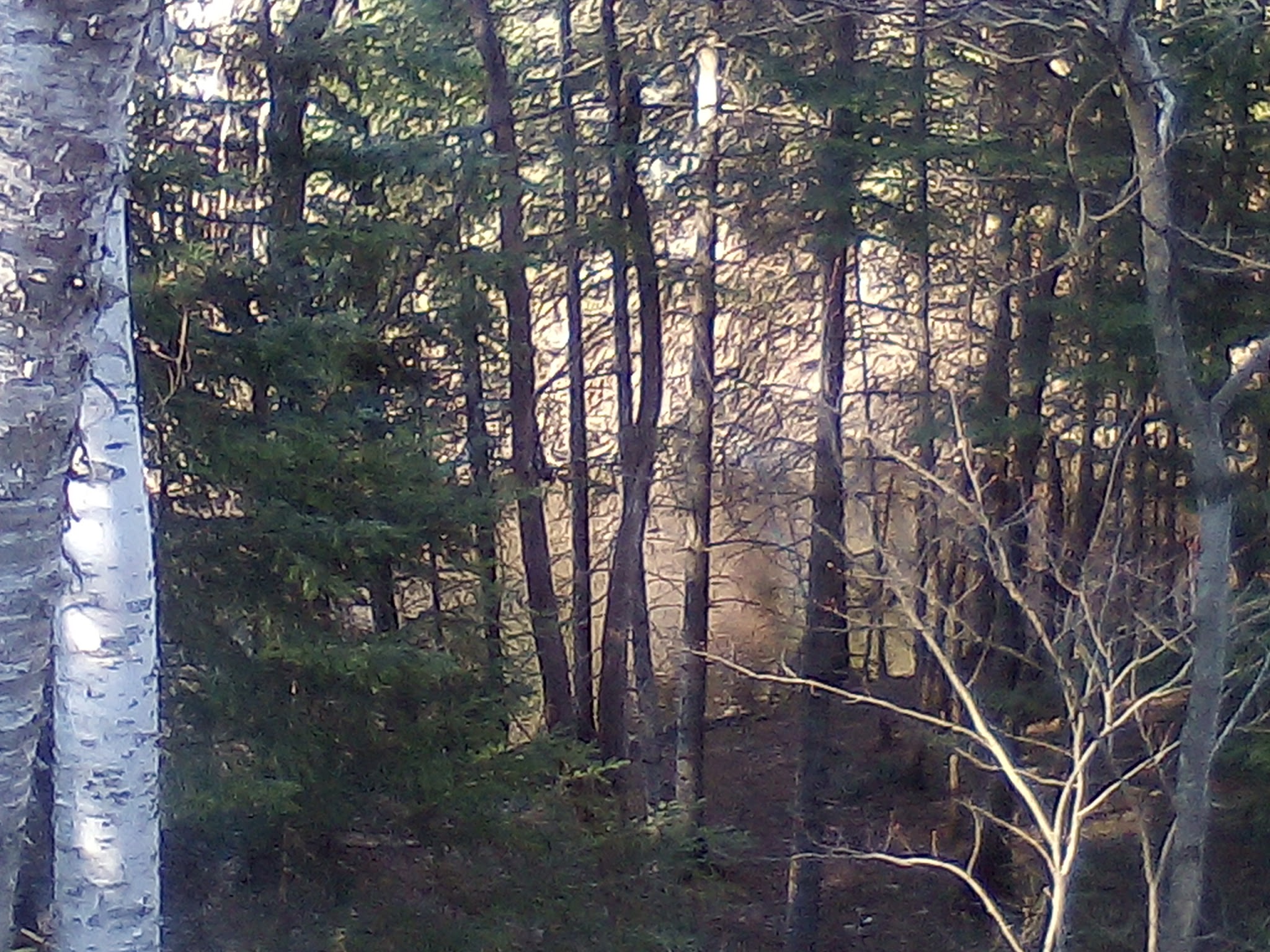 Fox River State Forest Campground