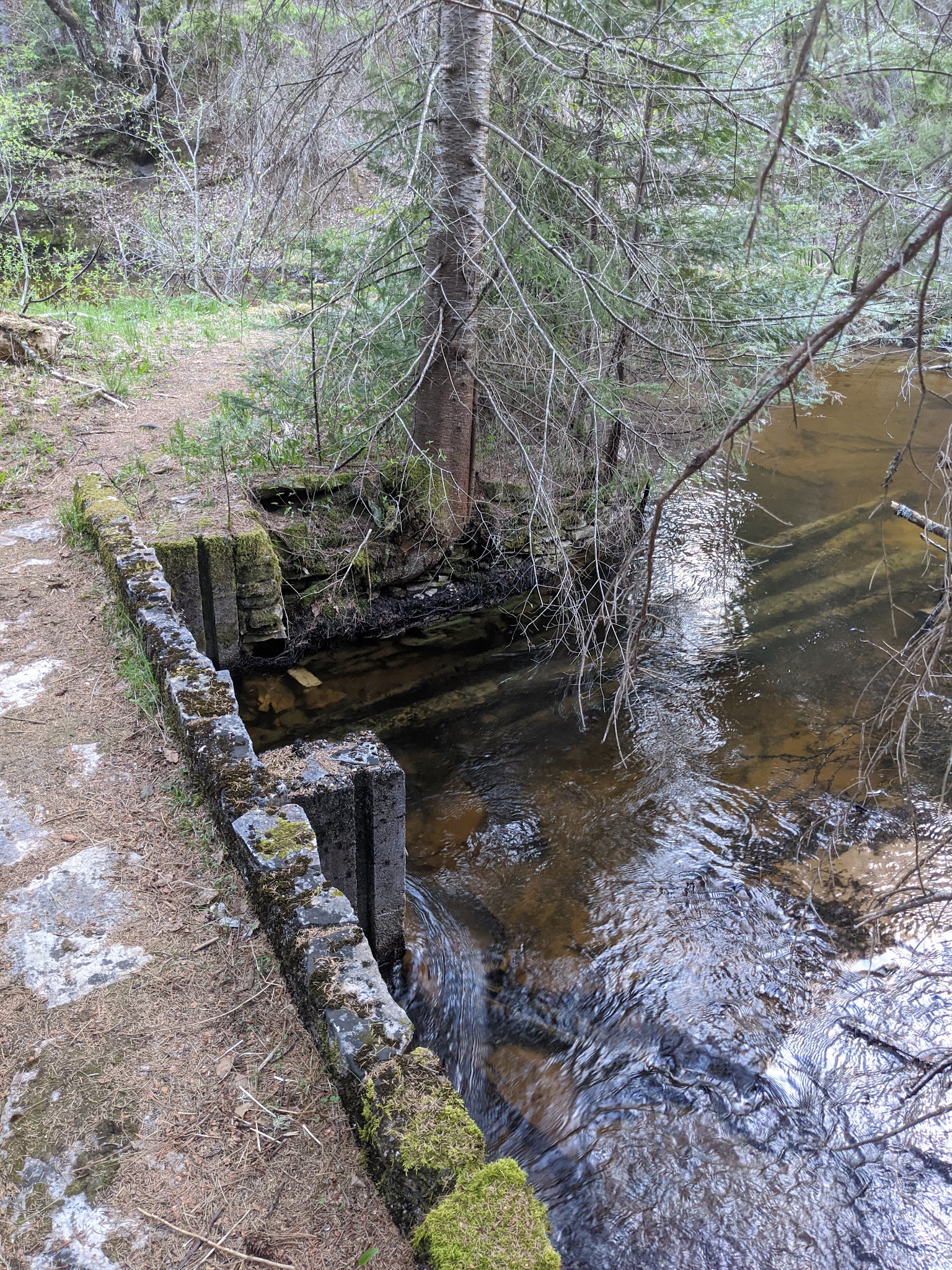 East Branch Of Fox River State Forest Campground