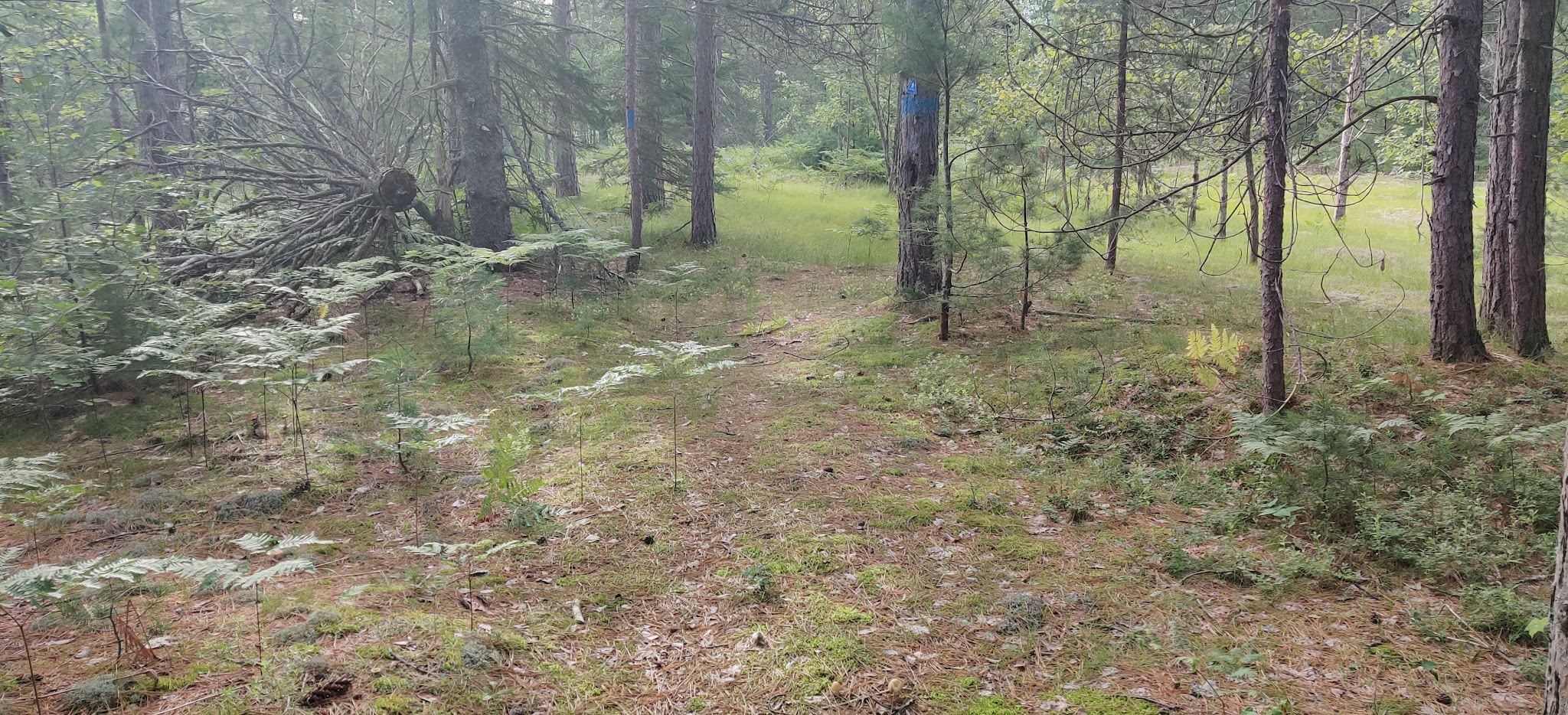 Fox River State Forest Campground