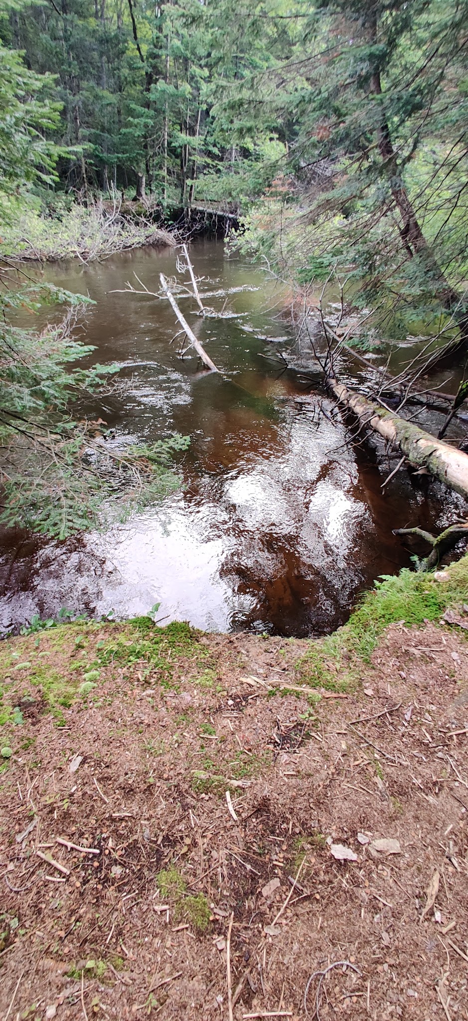 Fox River State Forest Campground