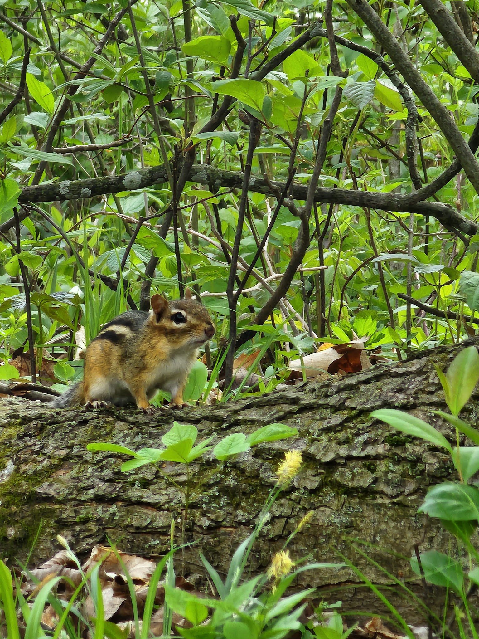 Frances Slocum State Park