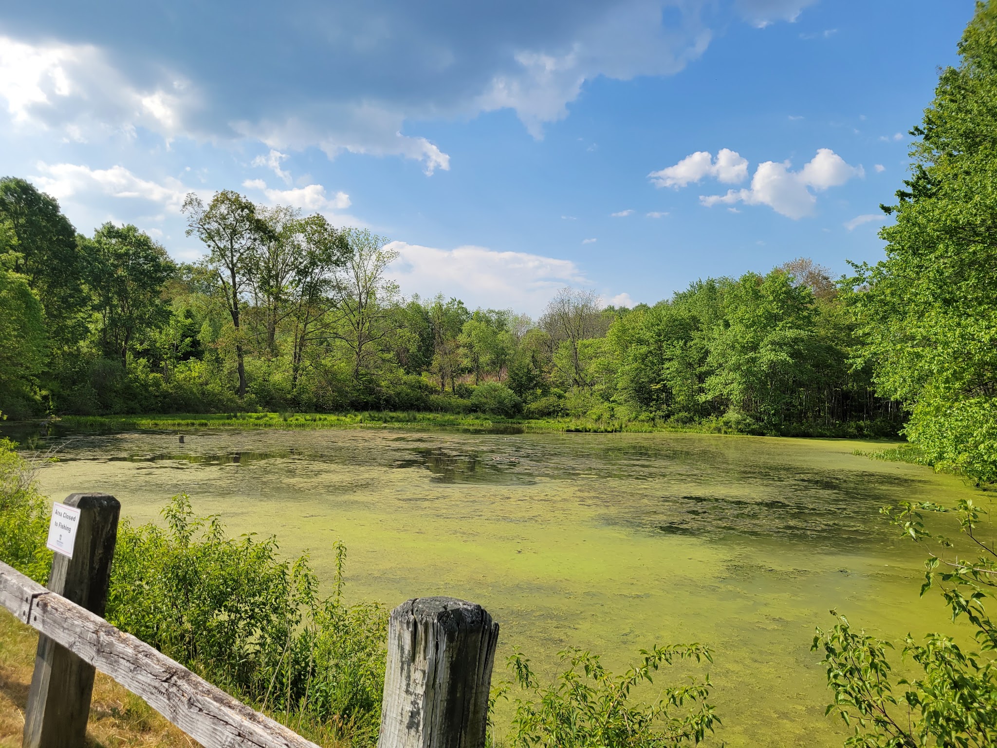 Frances Slocum State Park