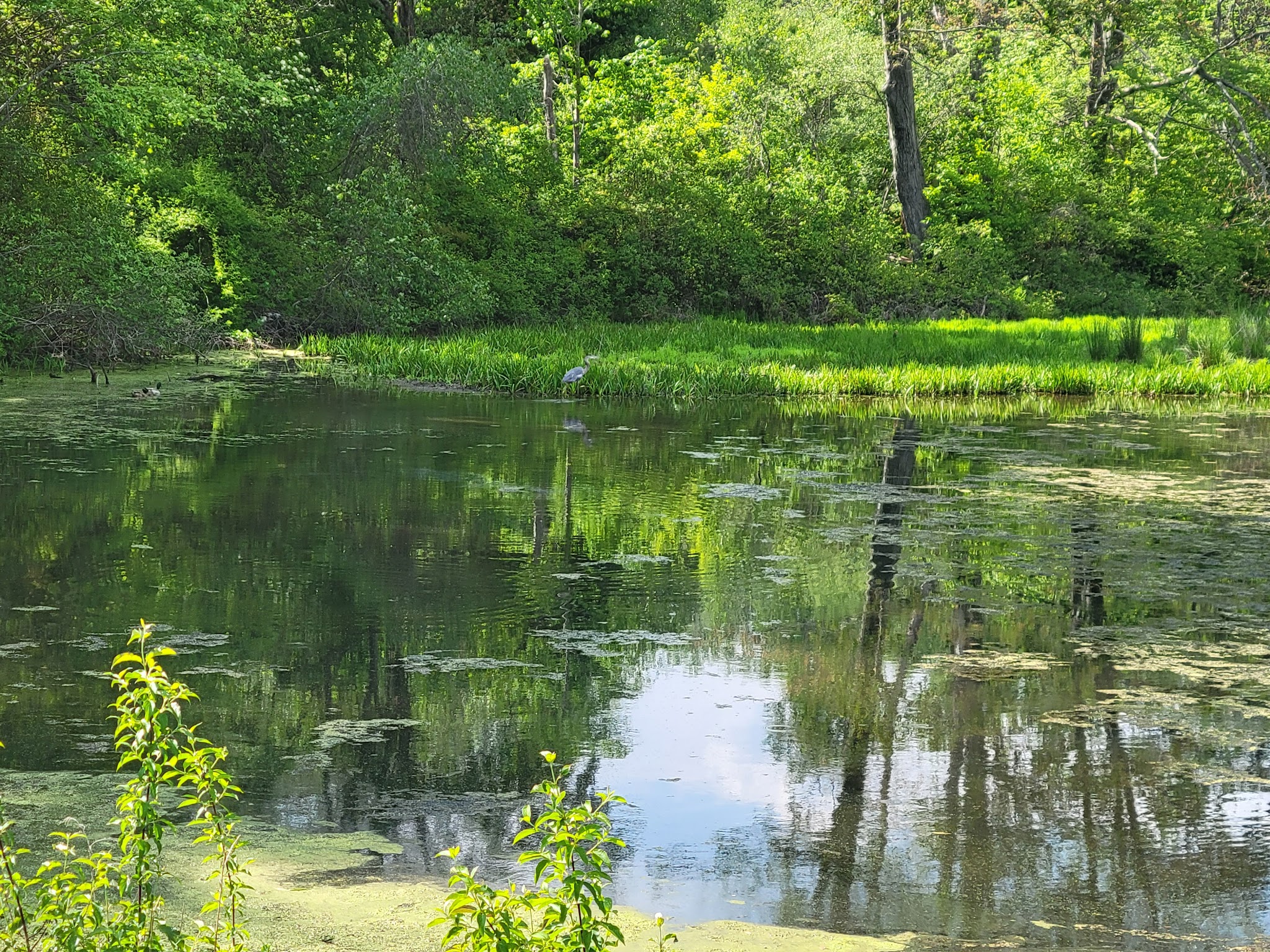 Frances Slocum State Park