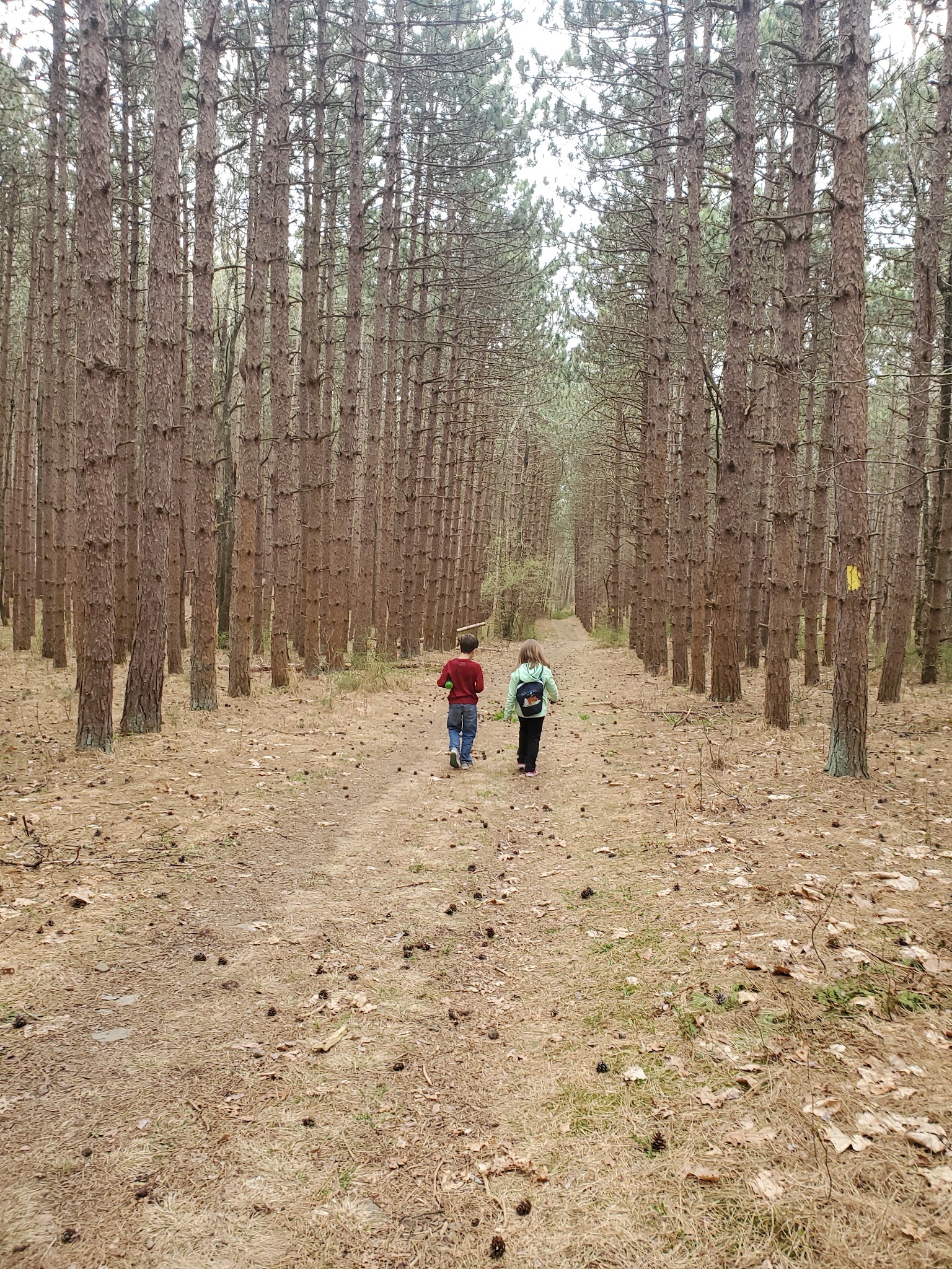 Frances Slocum State Park