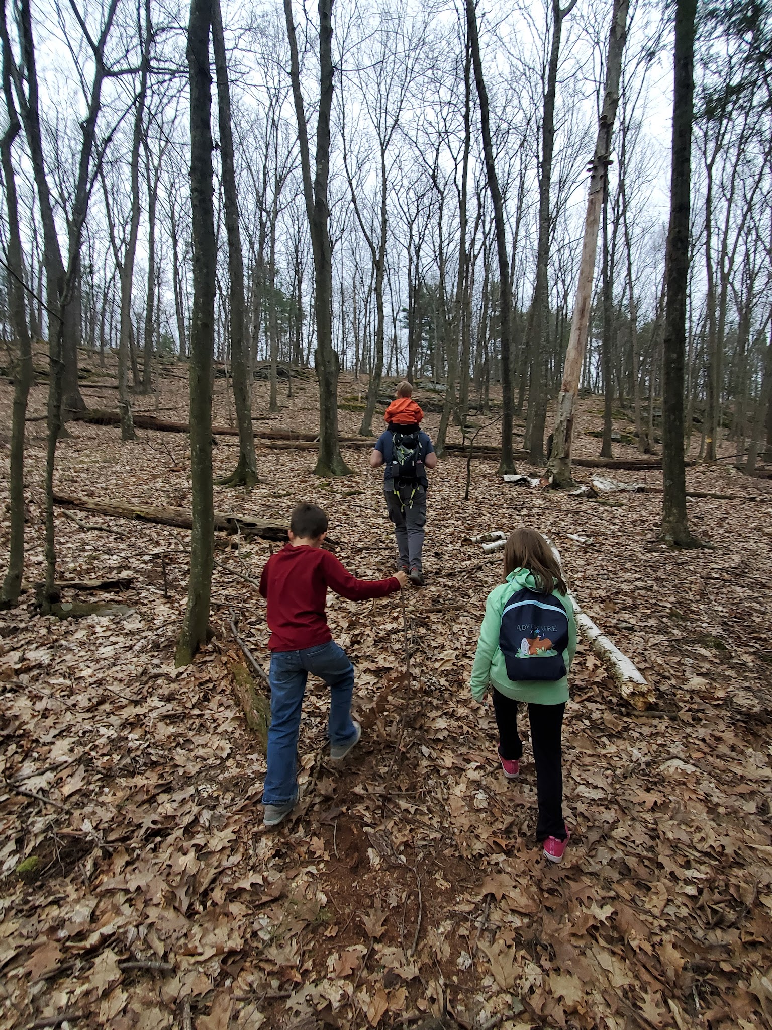 Frances Slocum State Park