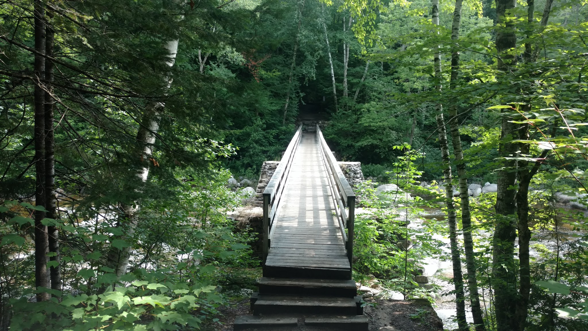 Franconia Brook Tentsite