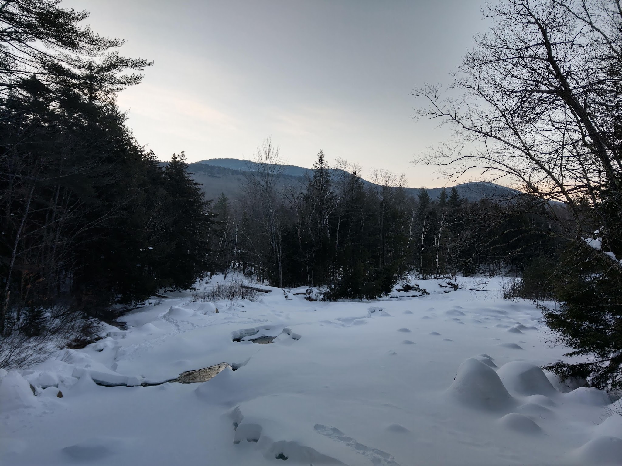 Franconia Brook Tentsite