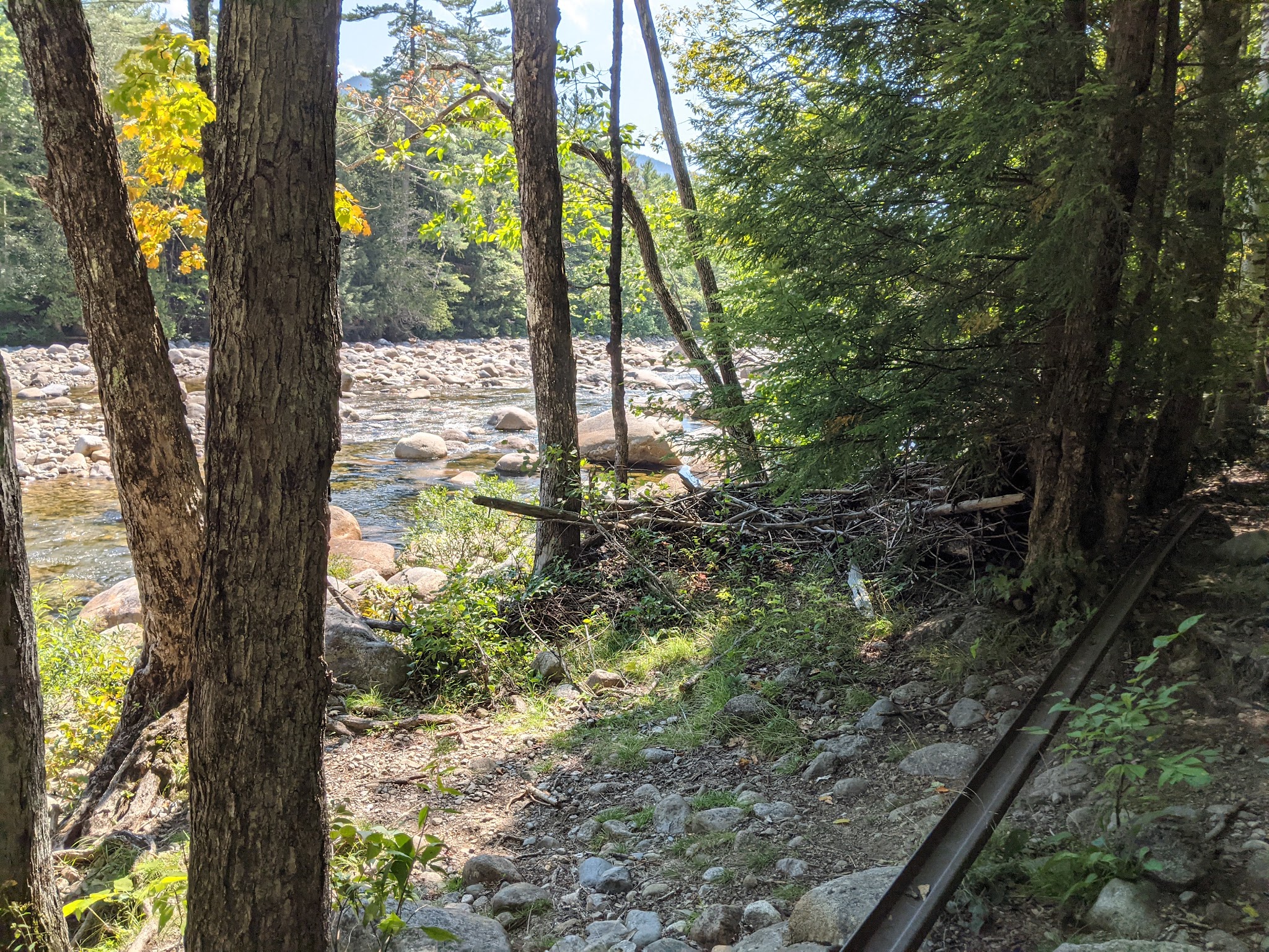 Franconia Brook Tentsite