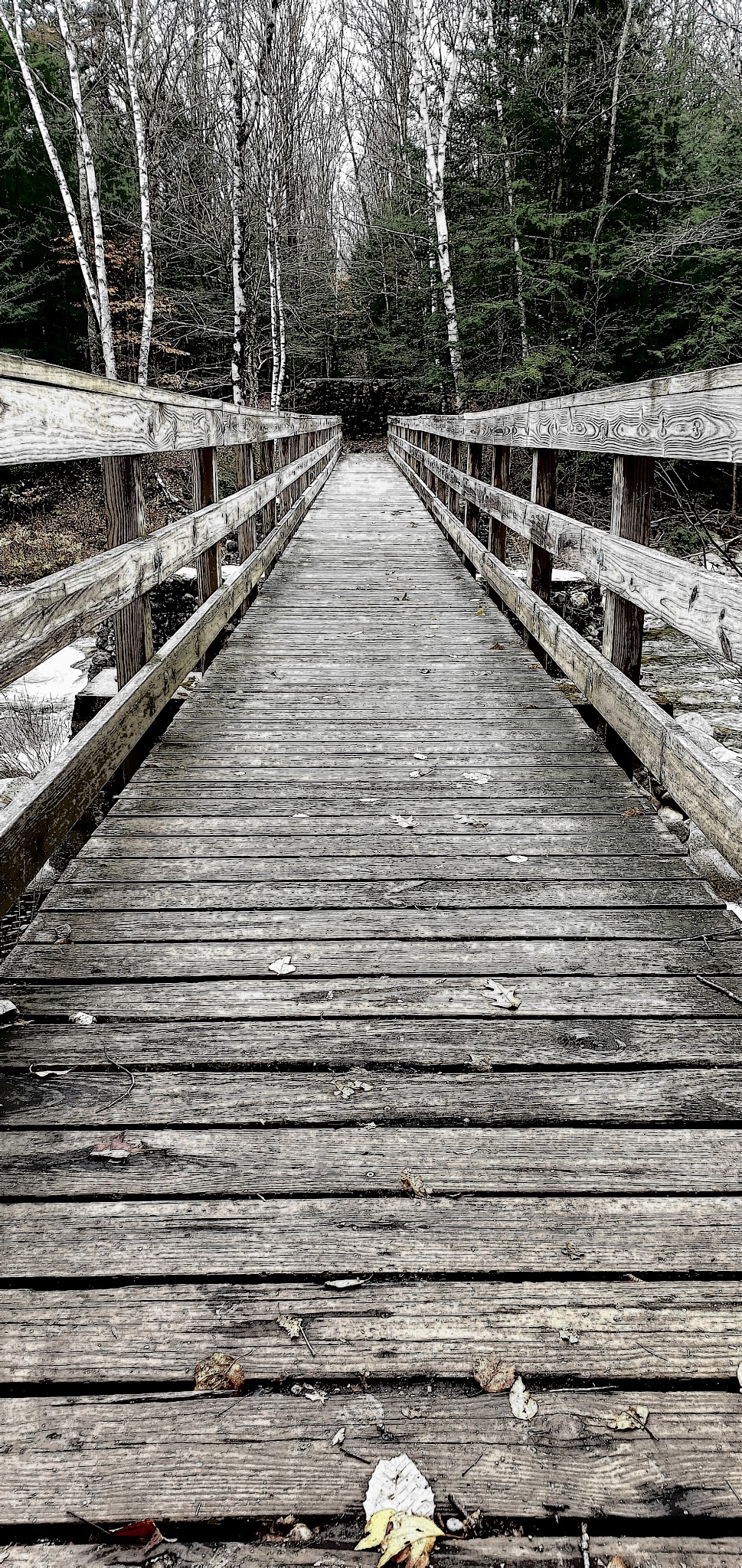 Franconia Brook Tentsite