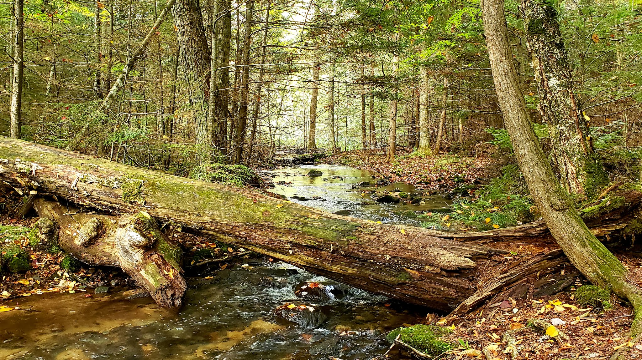 Franklin Lake Recreation Area
