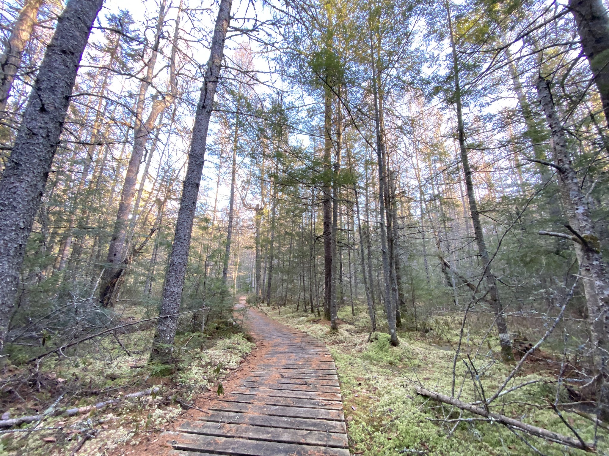 Franklin Lake Recreation Area
